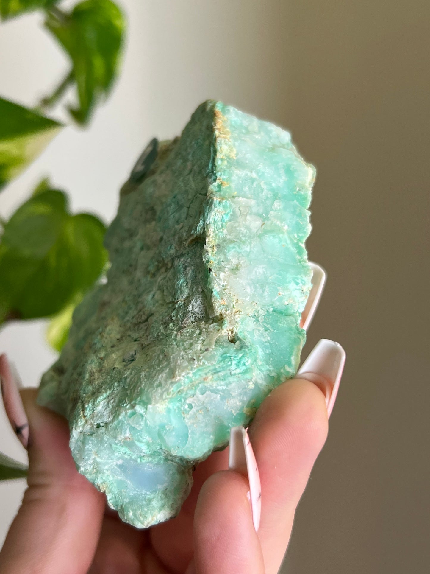 Lime Chrysoprase Raw - Z 🍋‍🟩