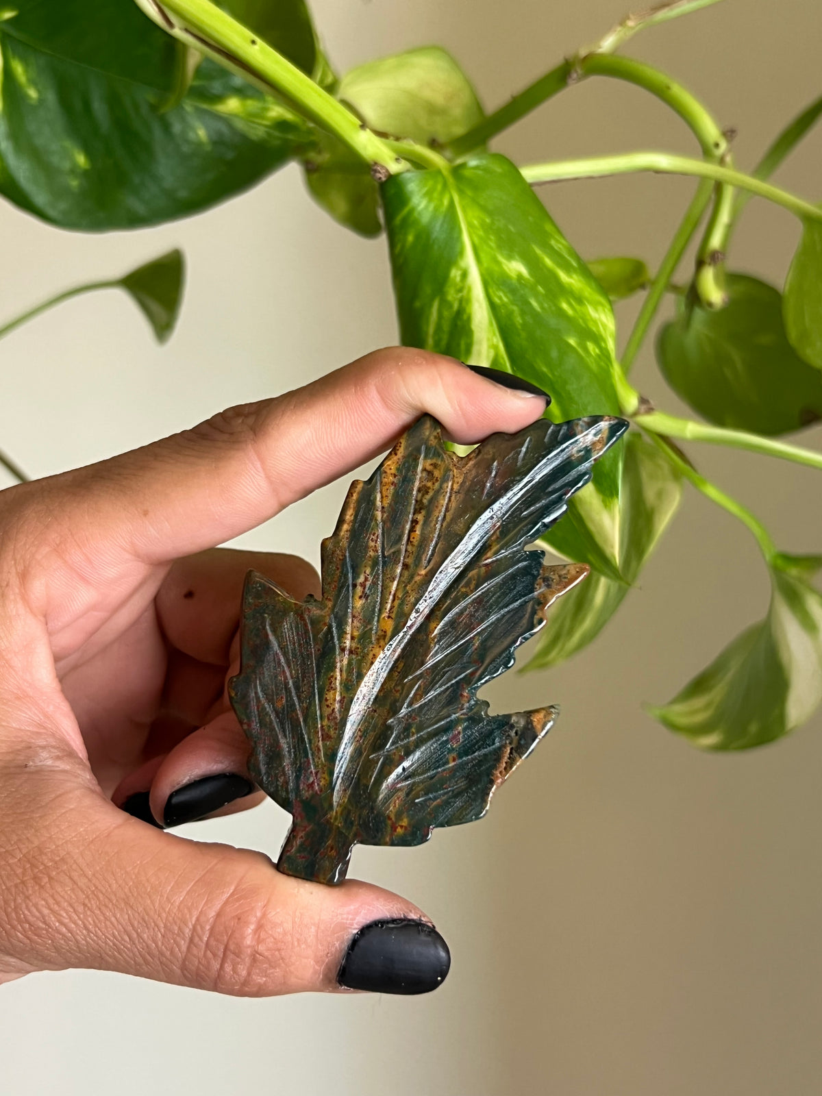 Ocean Jasper Leaf 🍂