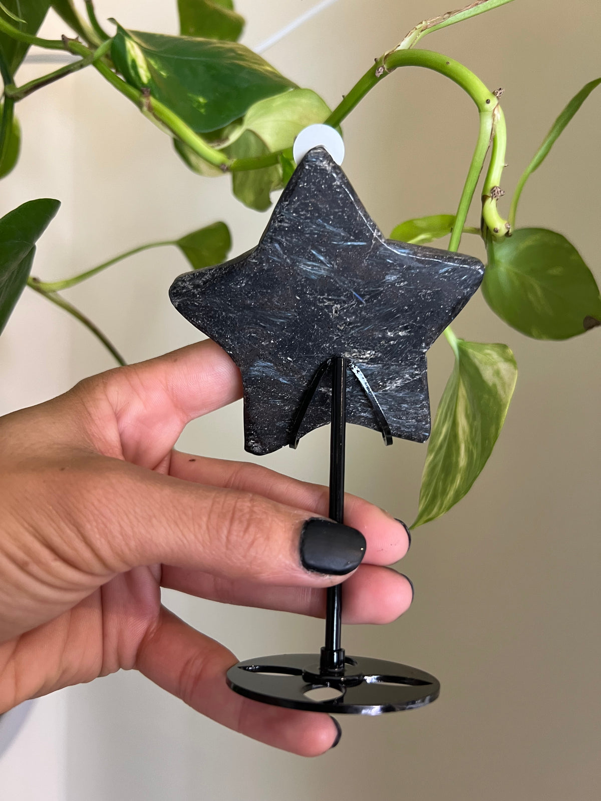 Flashy Astrophyllite Star on Stand - 2