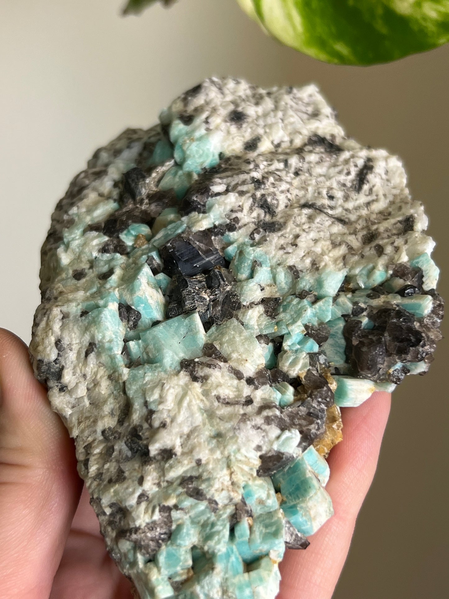 Amazonite, Smoky Quartz + Tourmaline Specimen (Canada)