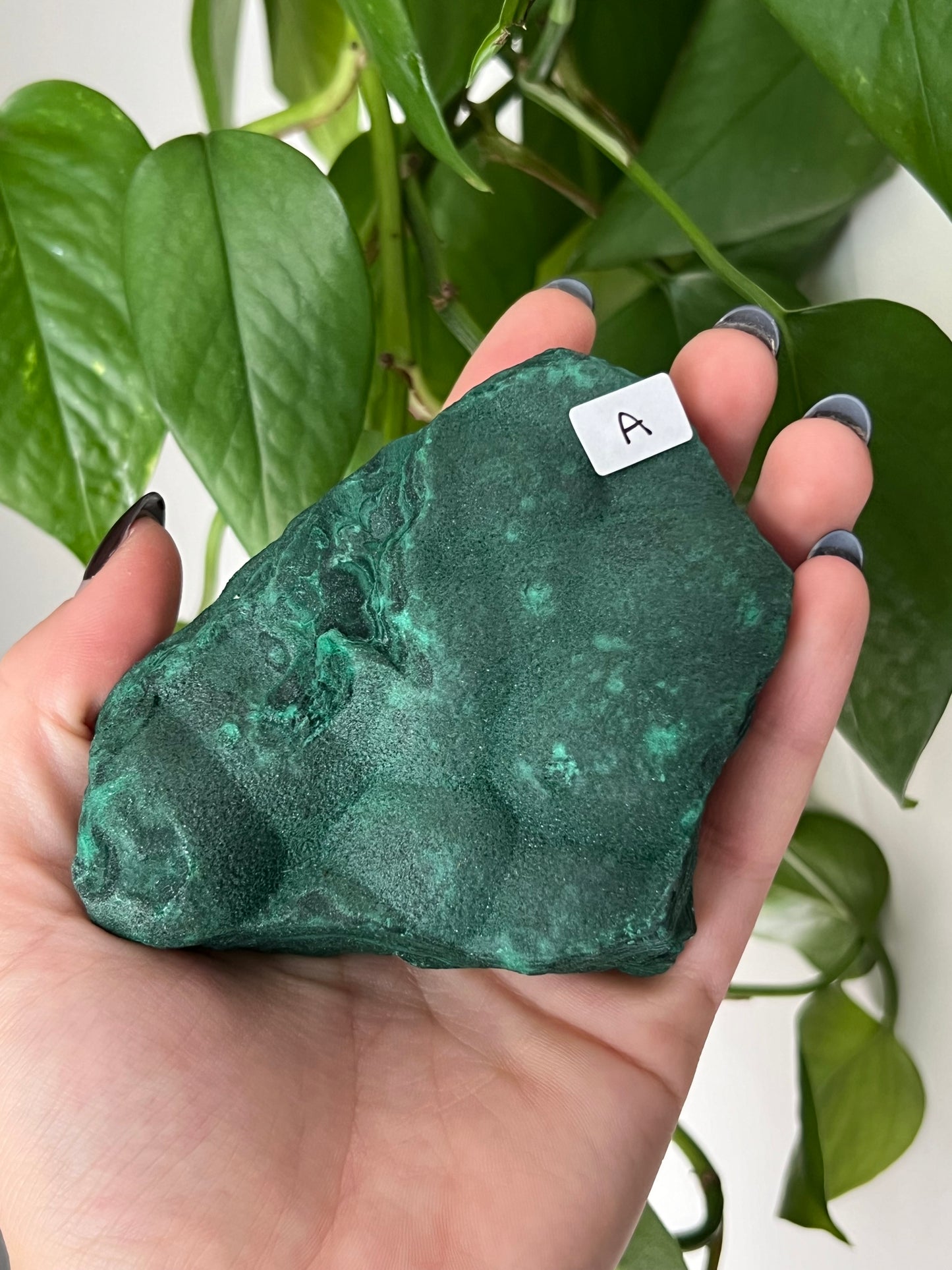 Botryoidal Sparkly Velvet Malachite A