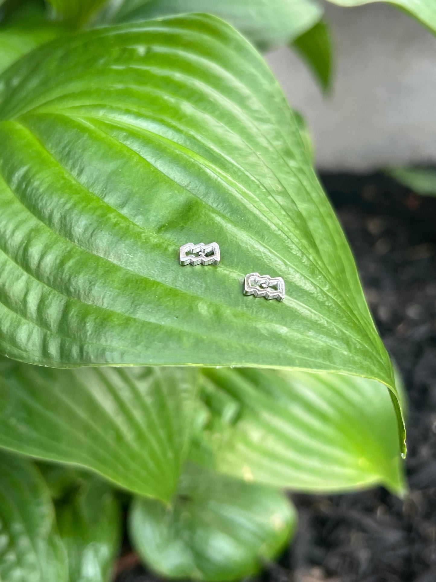 Aquarius Silver Zodiac Sign Studs ♒️