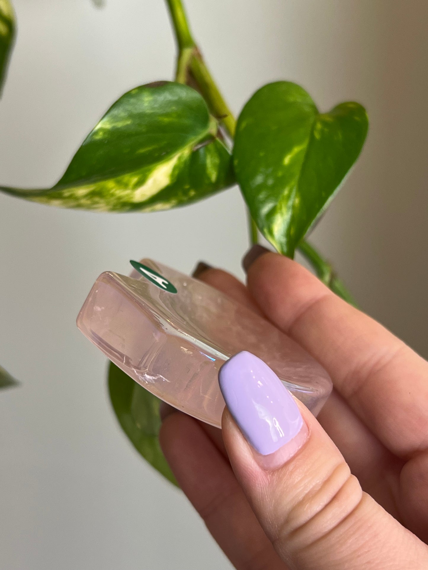 Rose Aura Quartz Cat Head Dish - A