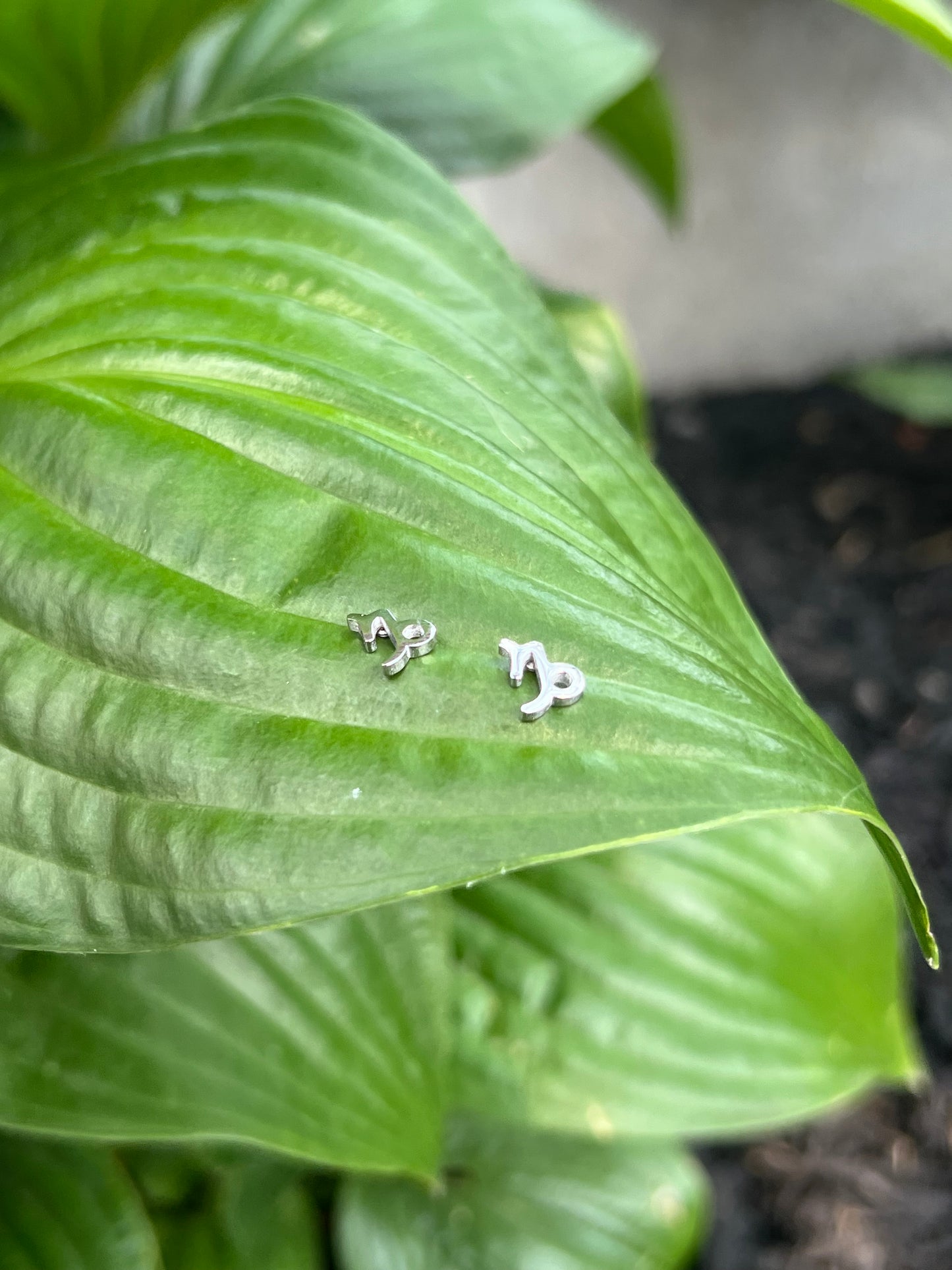 Capricorn Silver Zodiac Sign Studs ♑️