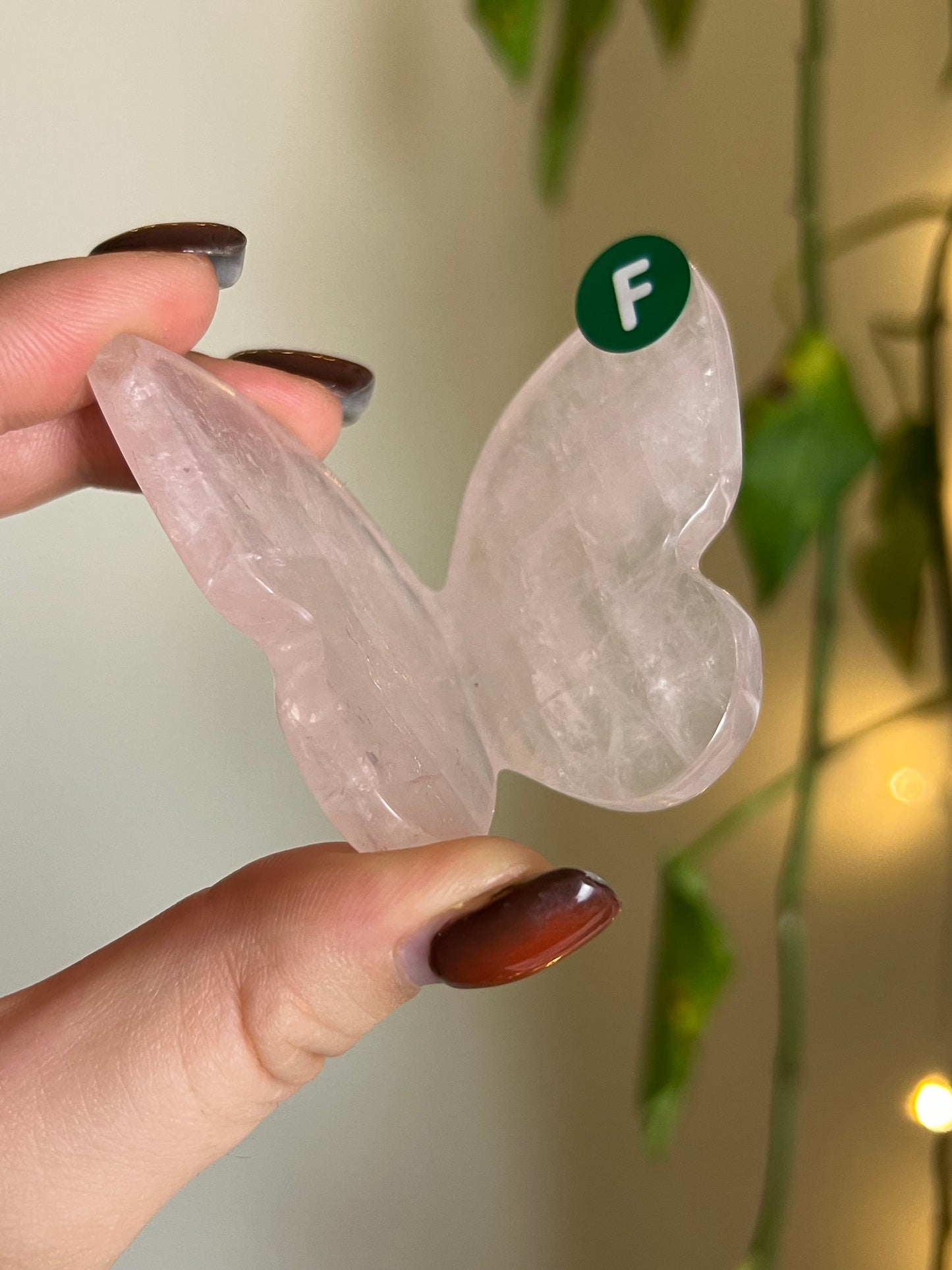 Rose Quartz 3D Butterfly - F