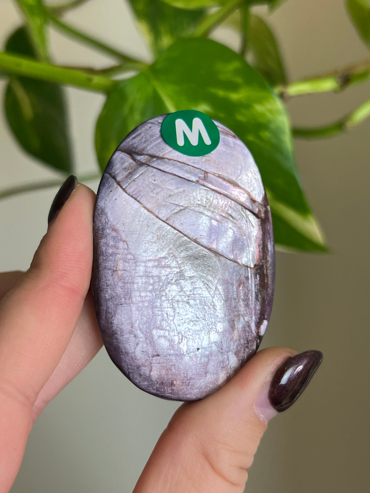 Flashy High Quality Lepidolite Large Palm Stone - M
