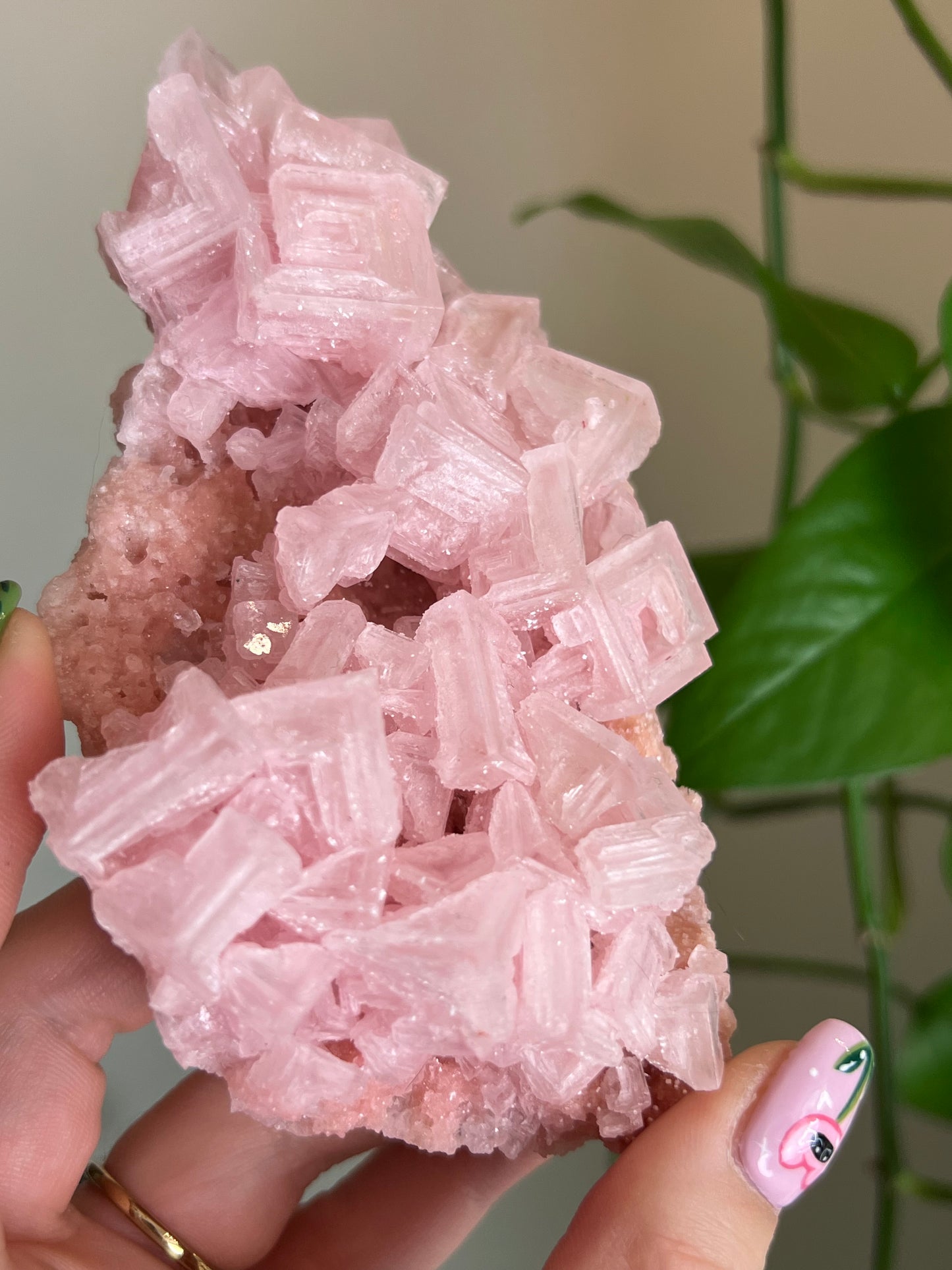 Pink Halite Specimen