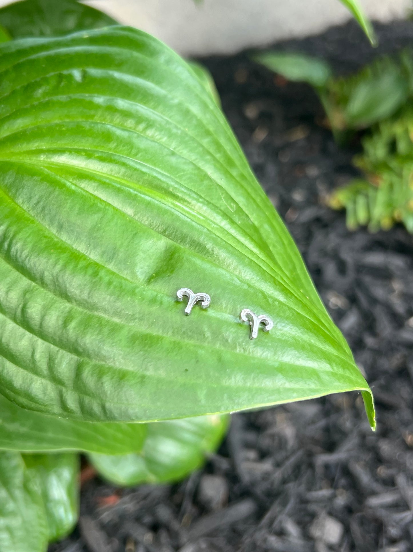 Aries Silver Zodiac Sign Studs ♈️