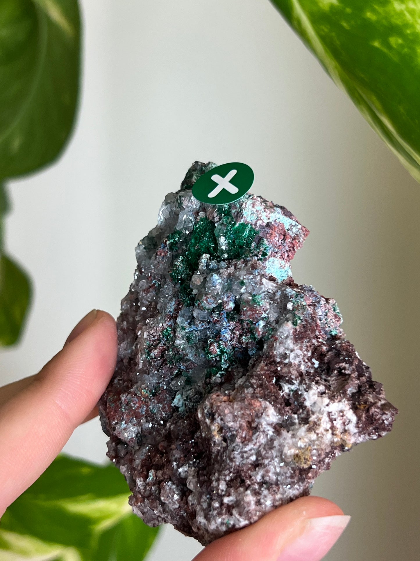 Druzy Malachite with Chrysocolla + Dolomite Sparkly Cluster - X