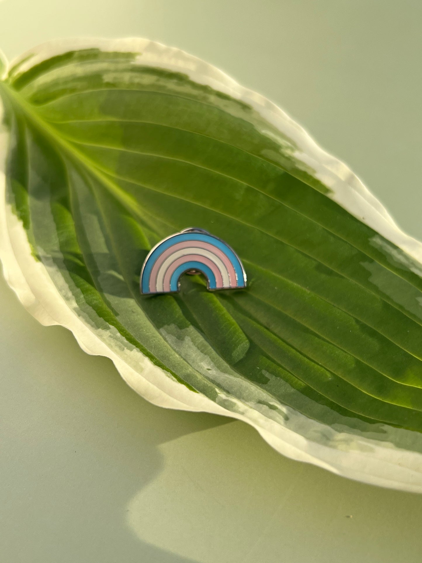 Épingles de fierté arc-en-ciel