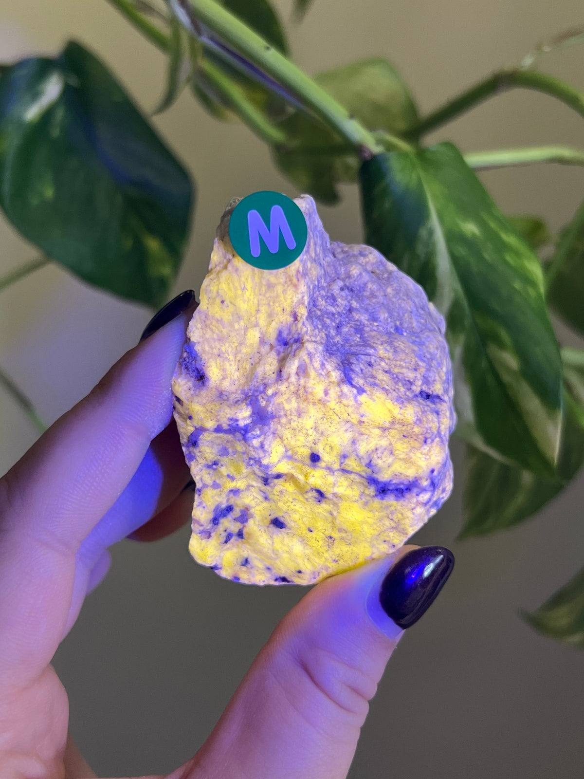 UV Reactive Meionite Scapolite Specimen - M