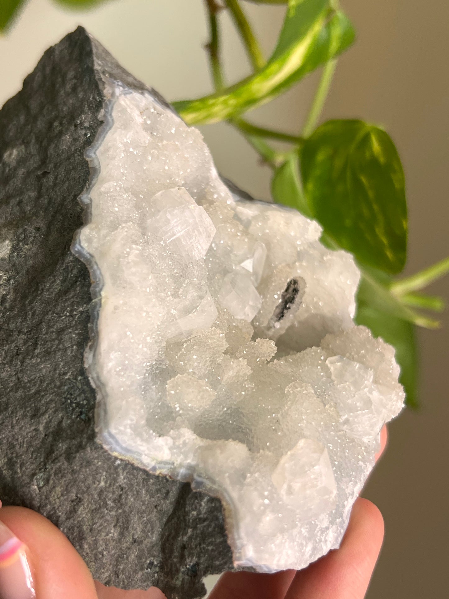 Apophyllite and Chalcedony Cluster - R