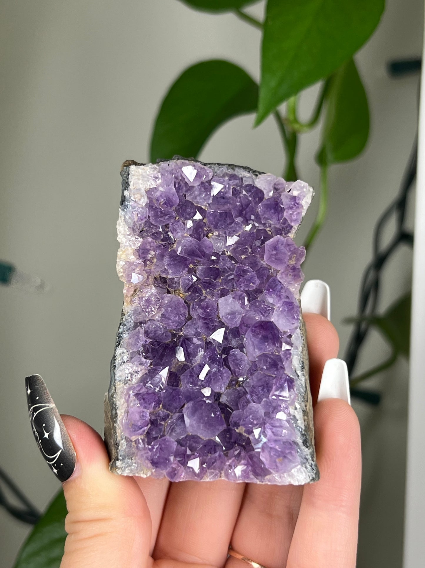 Amethyst Cluster Cut Base Freeform