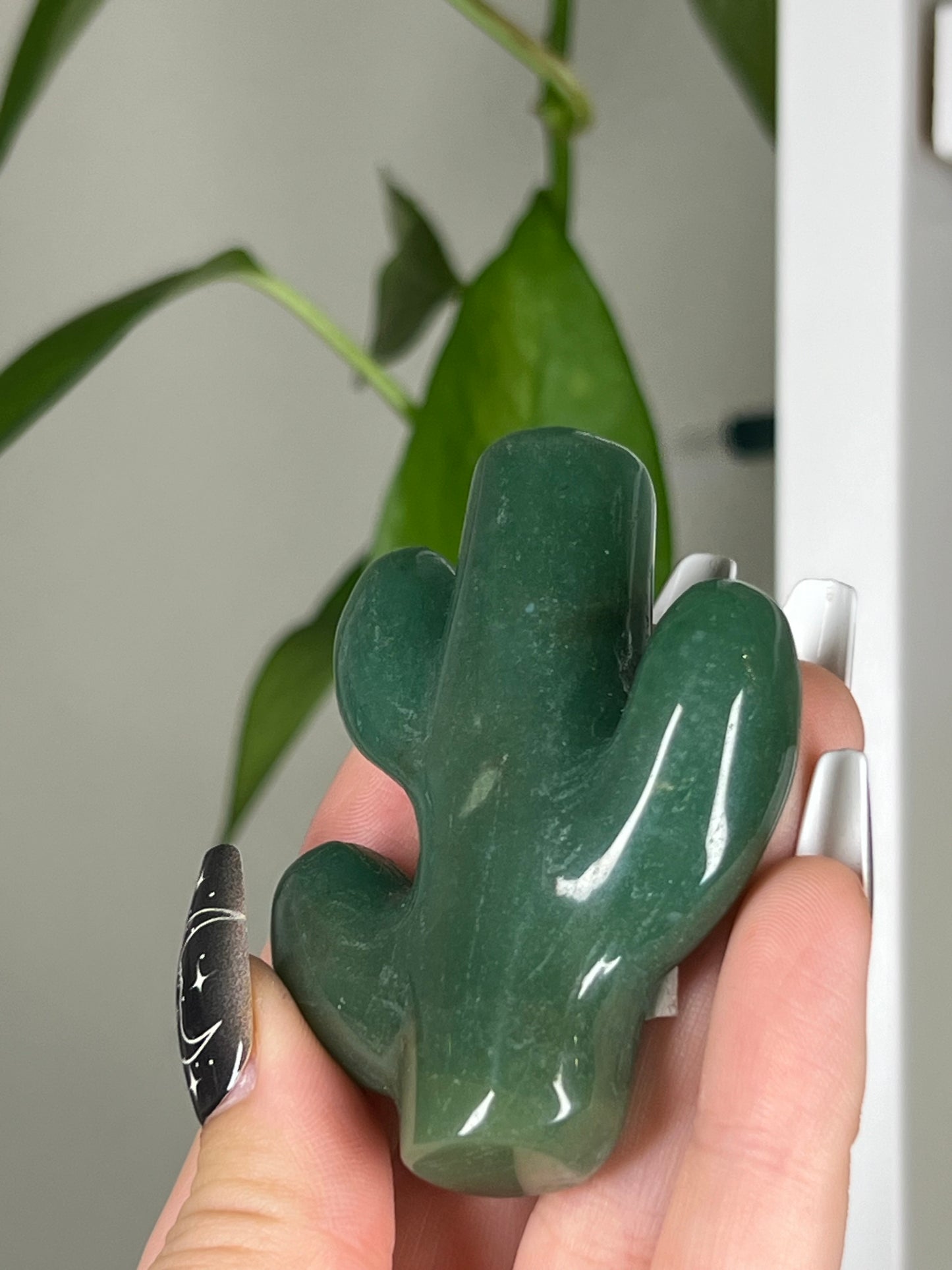 Green Aventurine Cactus Plant