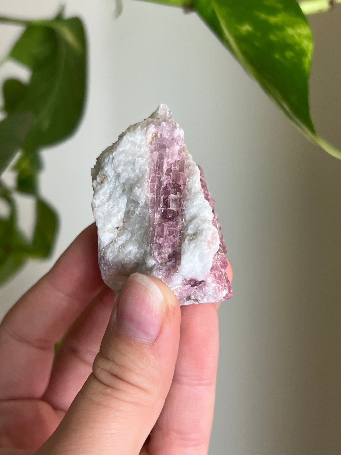 Pink Tourmaline on Matrix