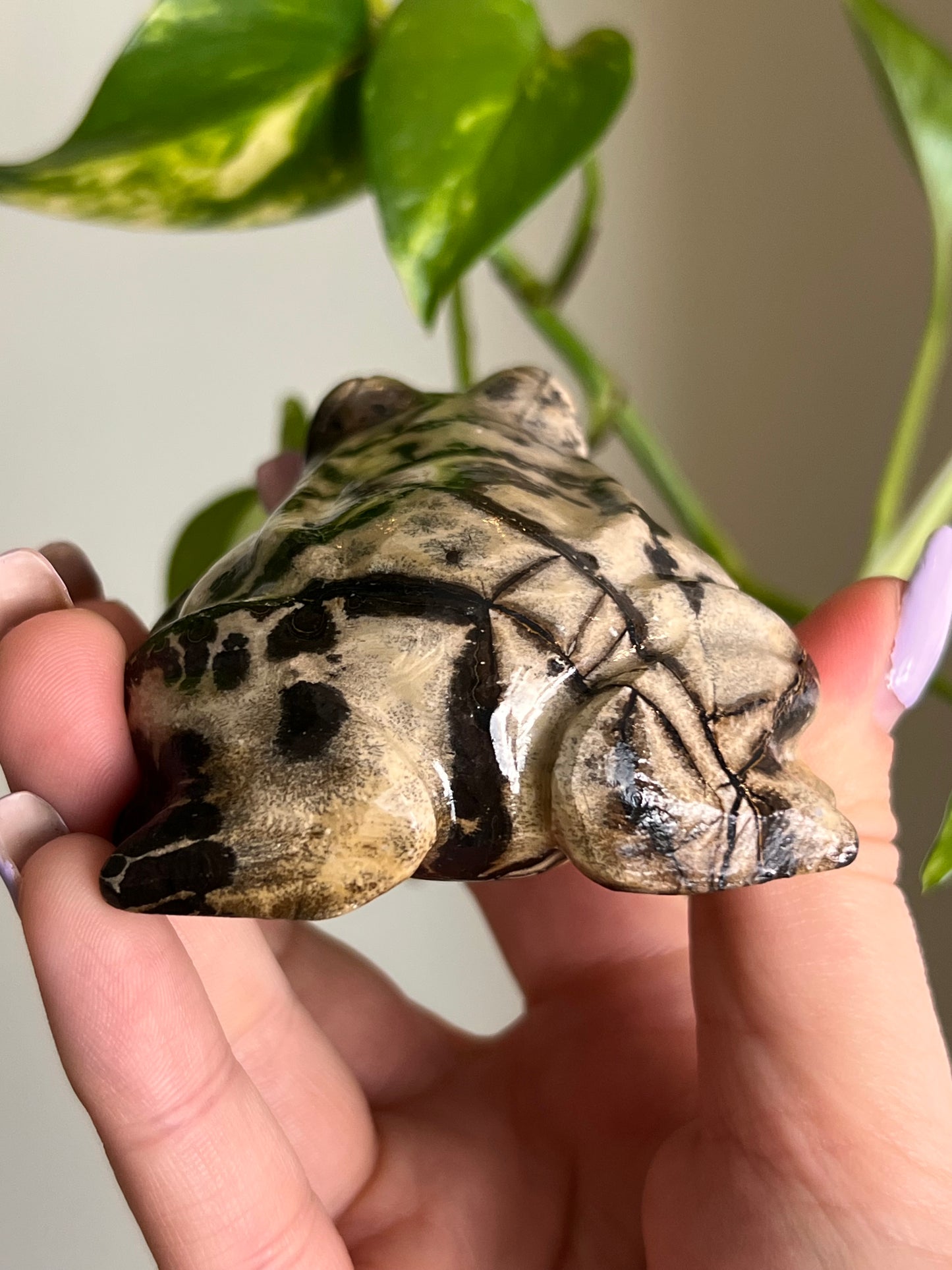 Picture Jasper Large Toad