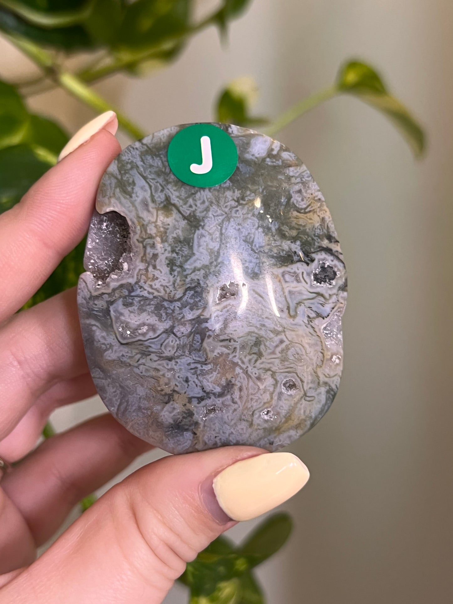 Rainbow Druzy Moss Agate Palm - J