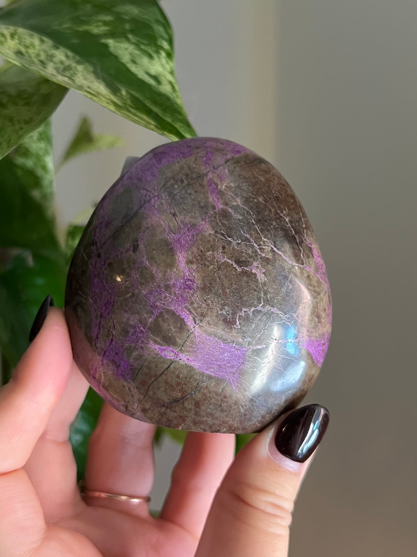 Purple Stichtite and Serpentine (Atlantisite) Freeform | Choose Your Own