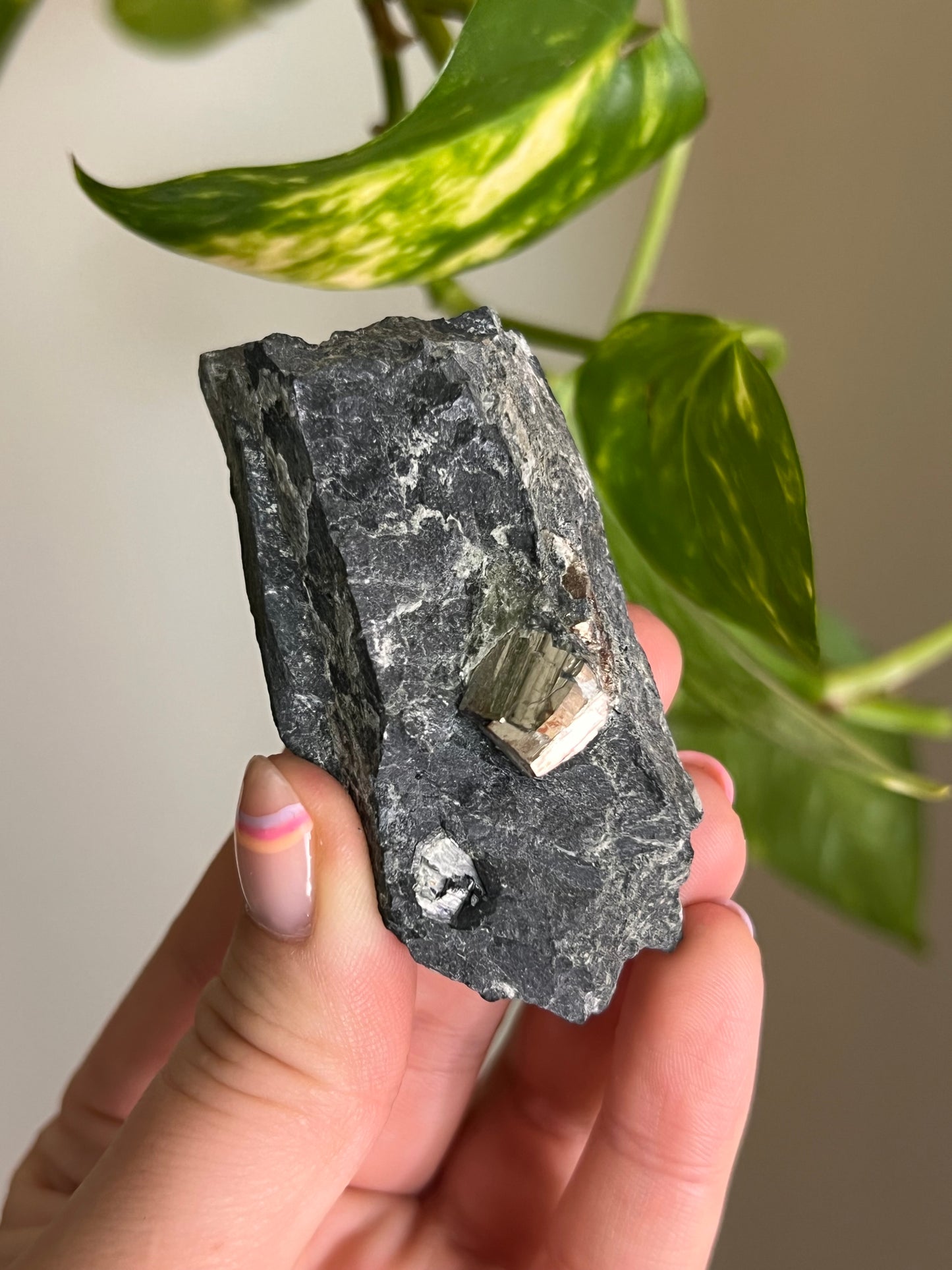 Pyrite on Matrix - Ontario - P