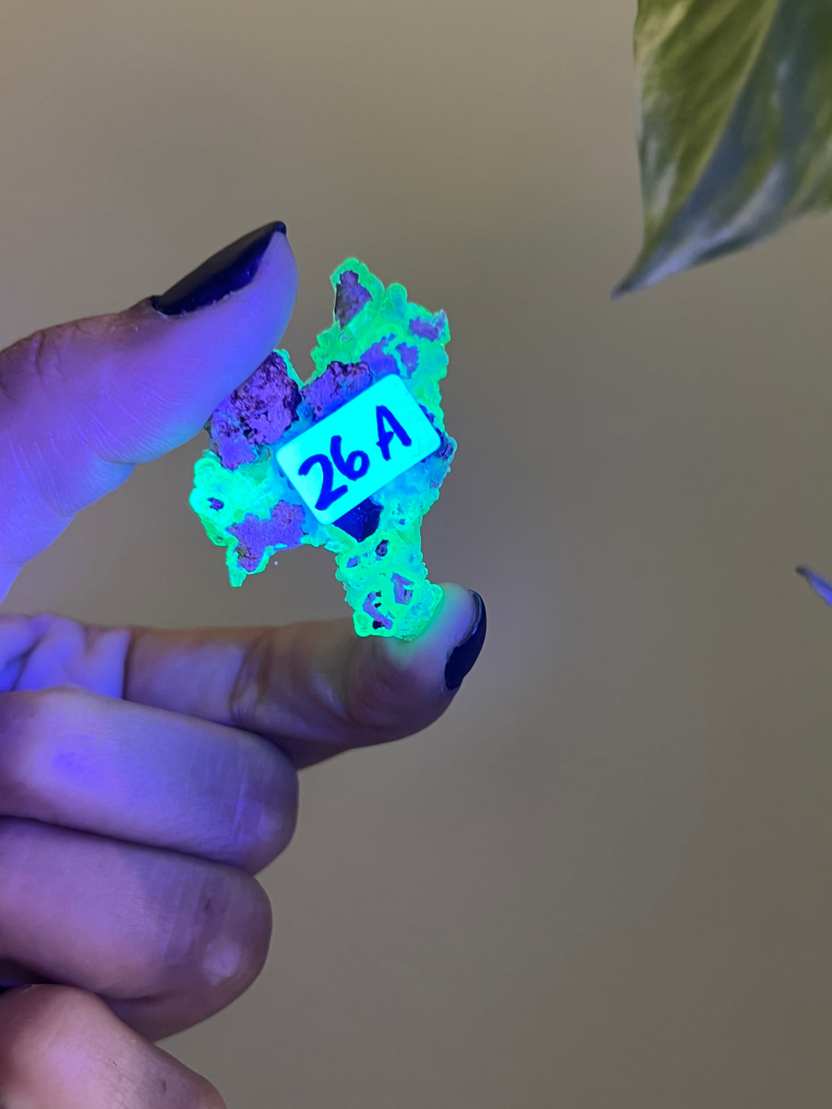 UV Reactive Hyalite Opal - A