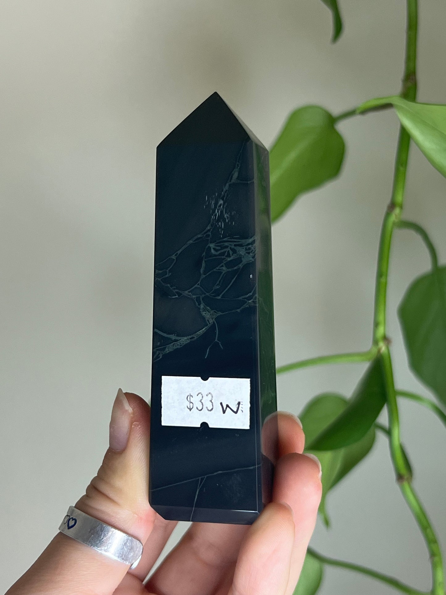 Spider Web Obsidian Tower | Choose Your Own