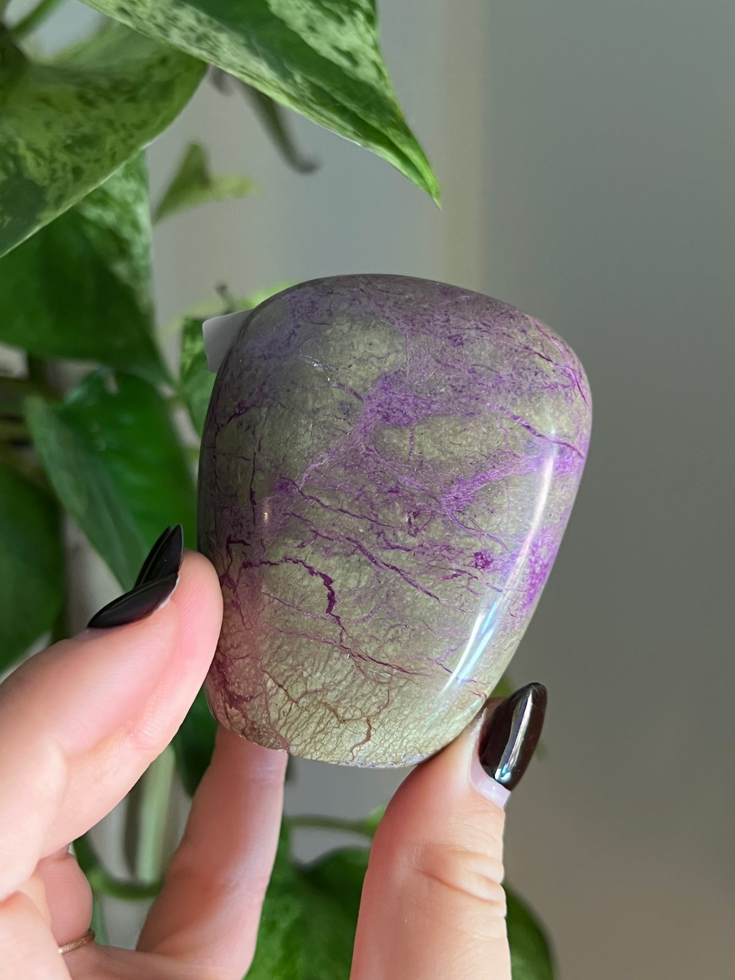 Purple Stichtite and Serpentine (Atlantisite) Freeform | Choose Your Own