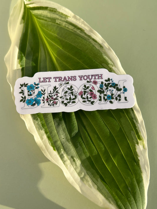 Laissez les jeunes trans s’épanouir Sticker