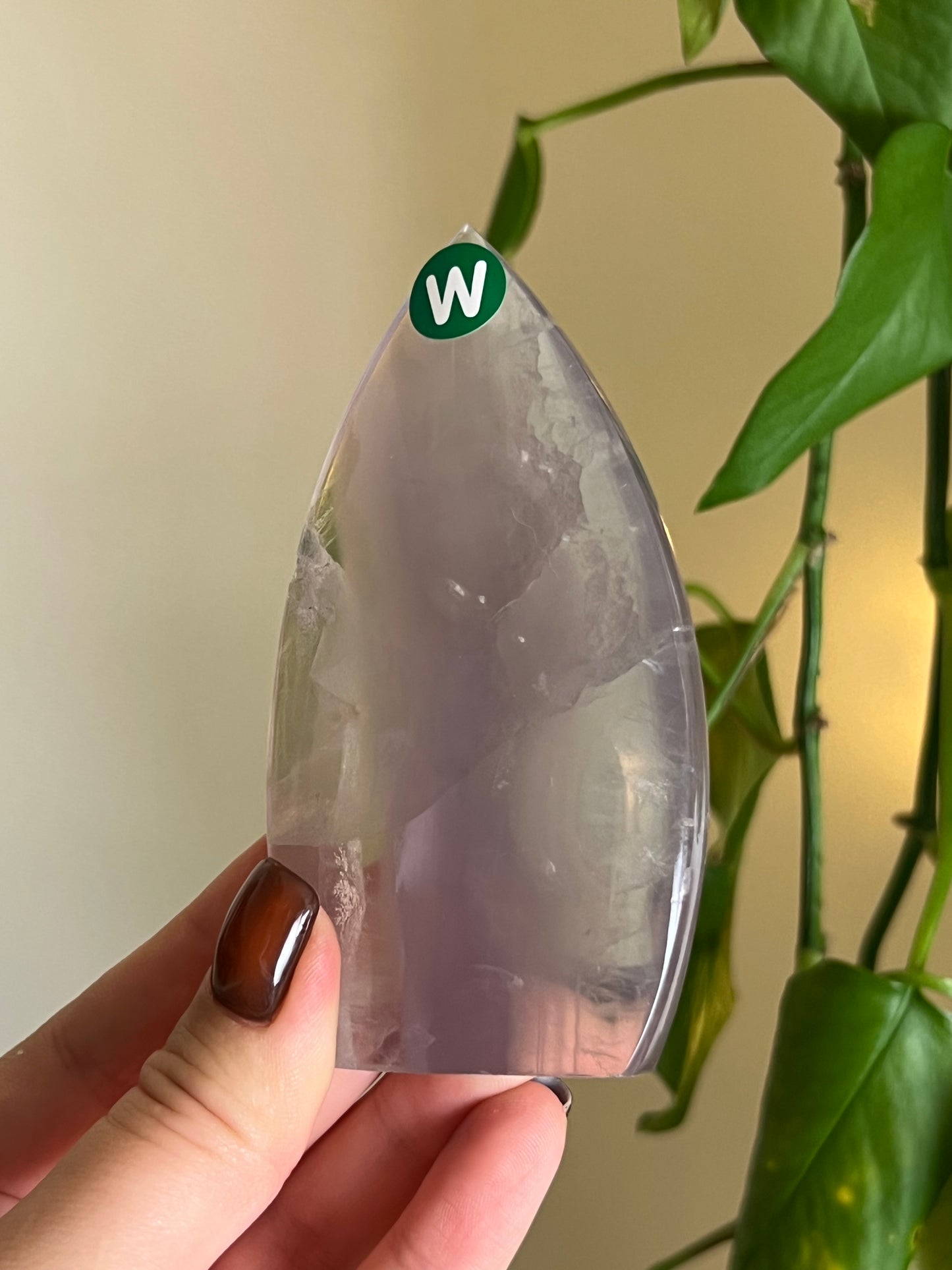 Pastel Fluorite Freeform - W