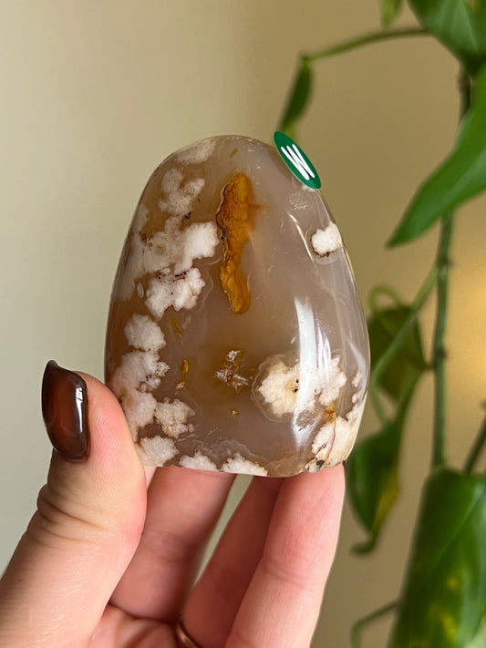 Flower Agate Freeform - W