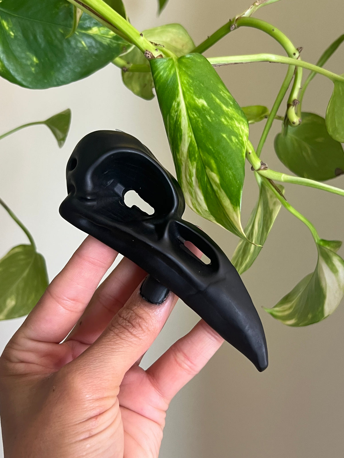 Black Obsidian Raven - Z