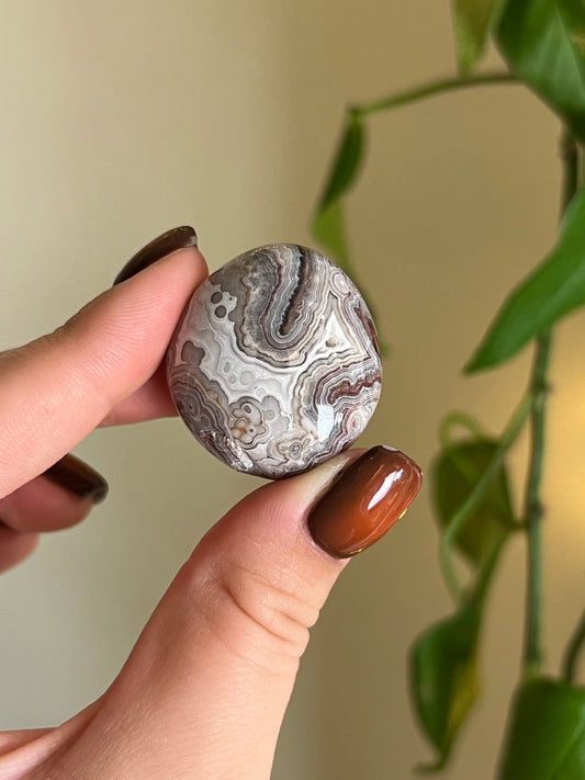 Mexican Lace Agate Tumbled