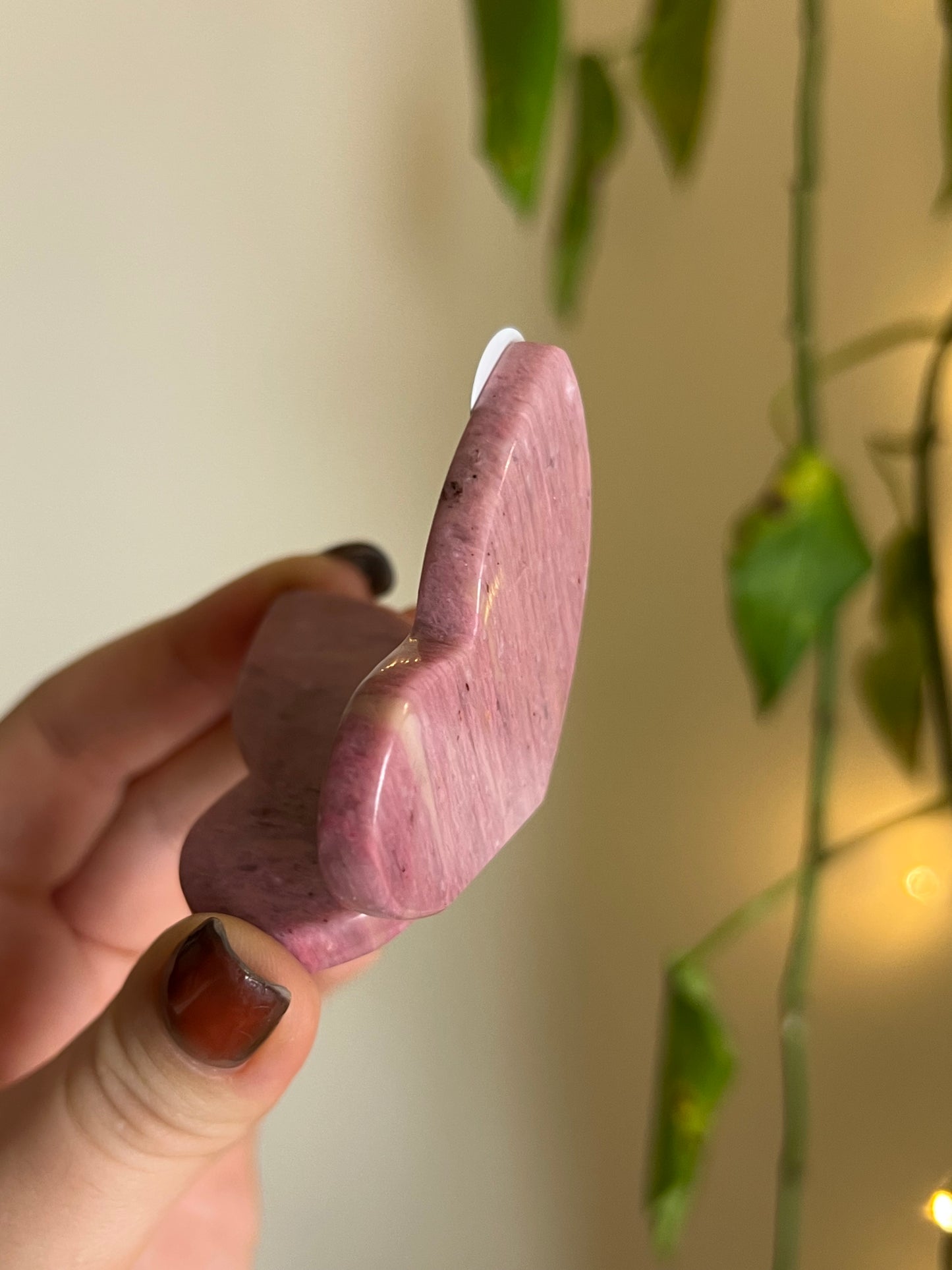 Pink Petrified Wood 3D Butterfly - G