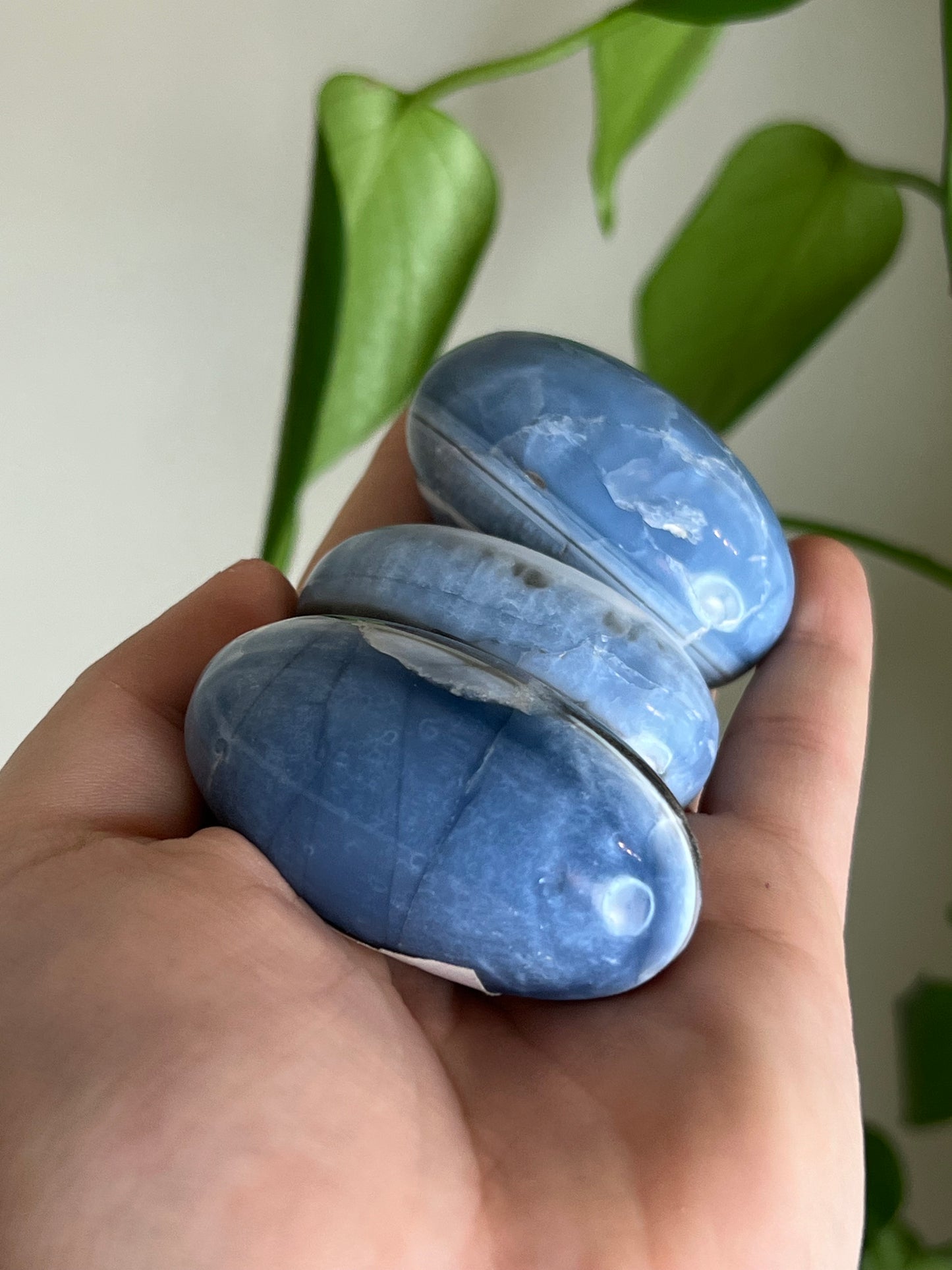 Blue Opal Shivas