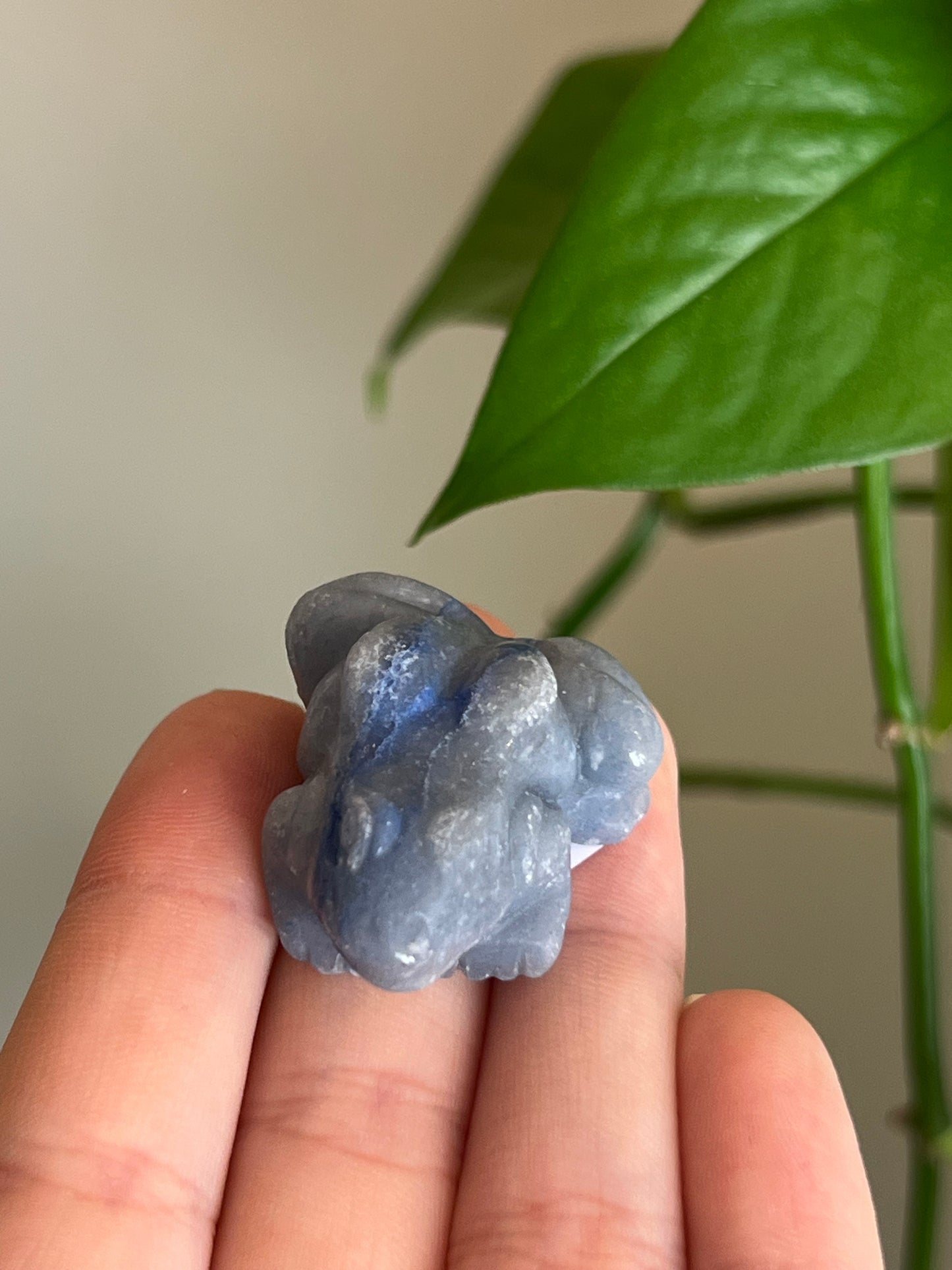 Blue Aventurine Frog