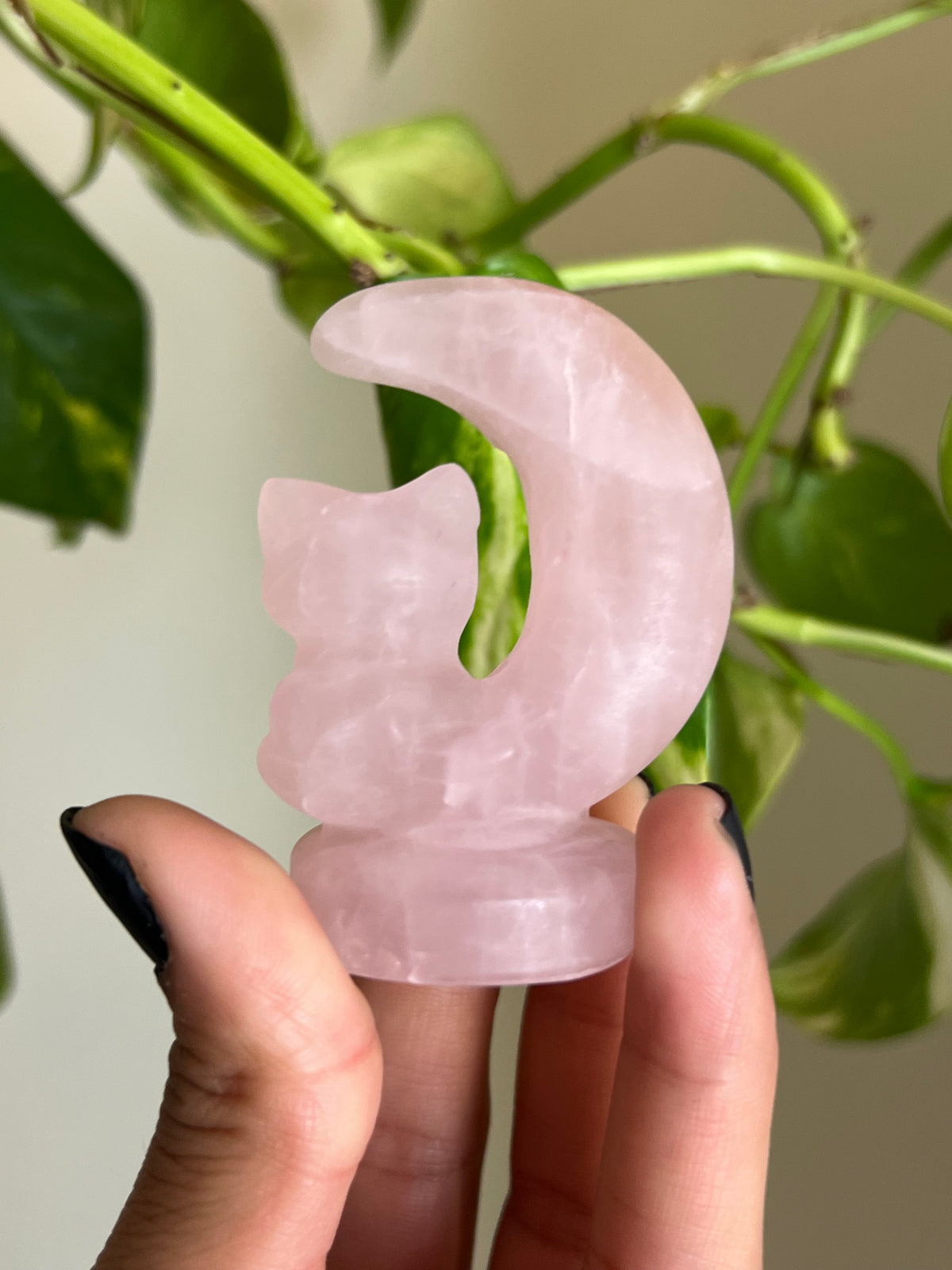 Rose Quartz Cat Moon