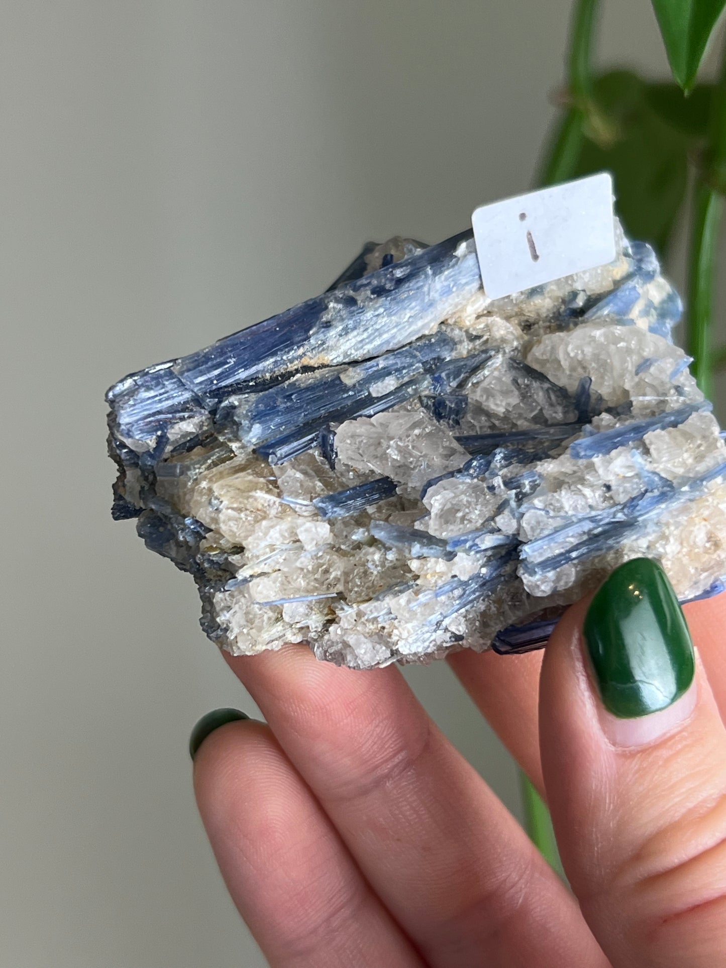 Blue Kyanite in Quartz i