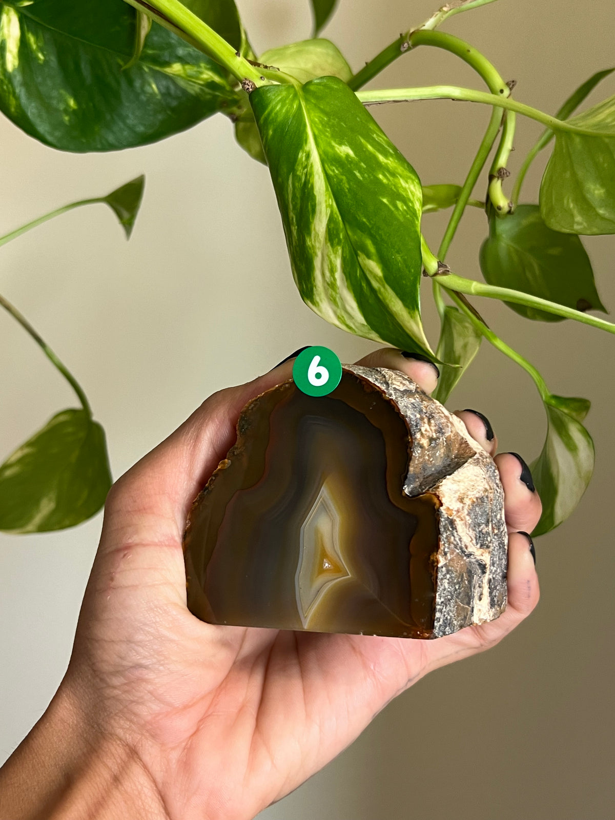 Brown + Red Druzy Agate Freeform - 6
