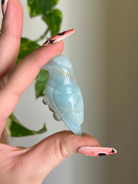 Amazonite Bird