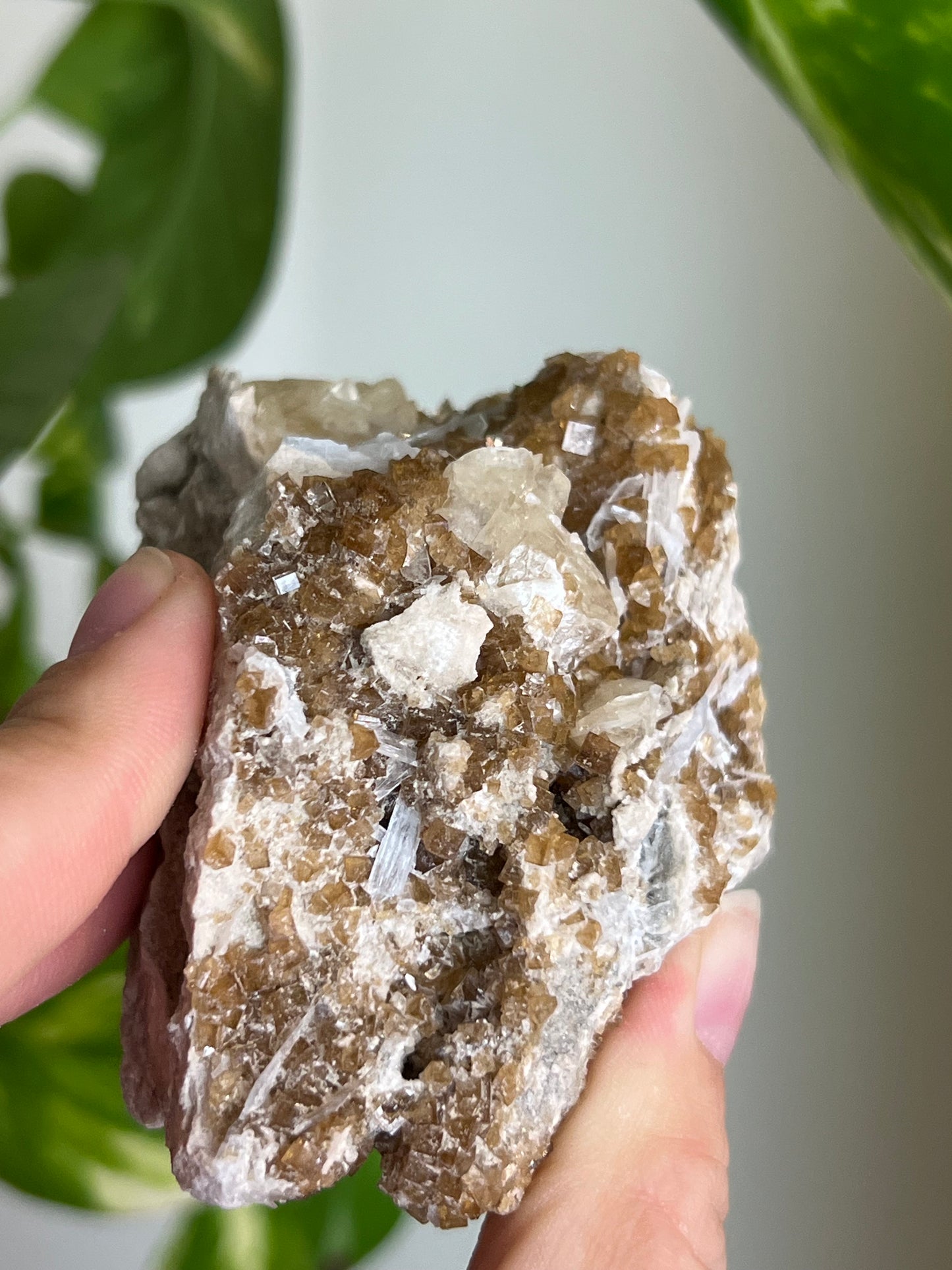 Deep Yellow Fluorite x Celestite Cluster * Rare