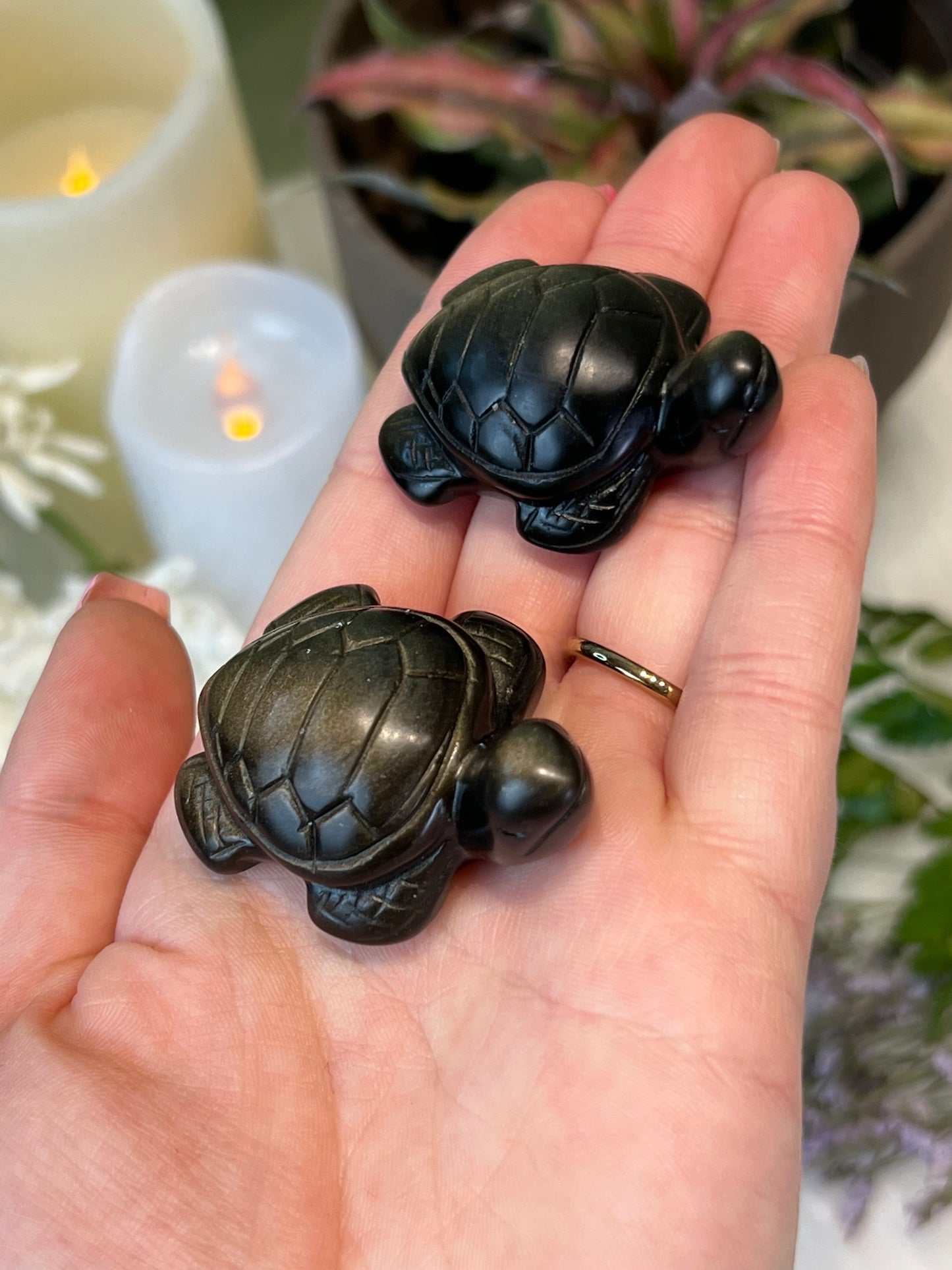 Gold Sheen Obsidian Sea Turtle