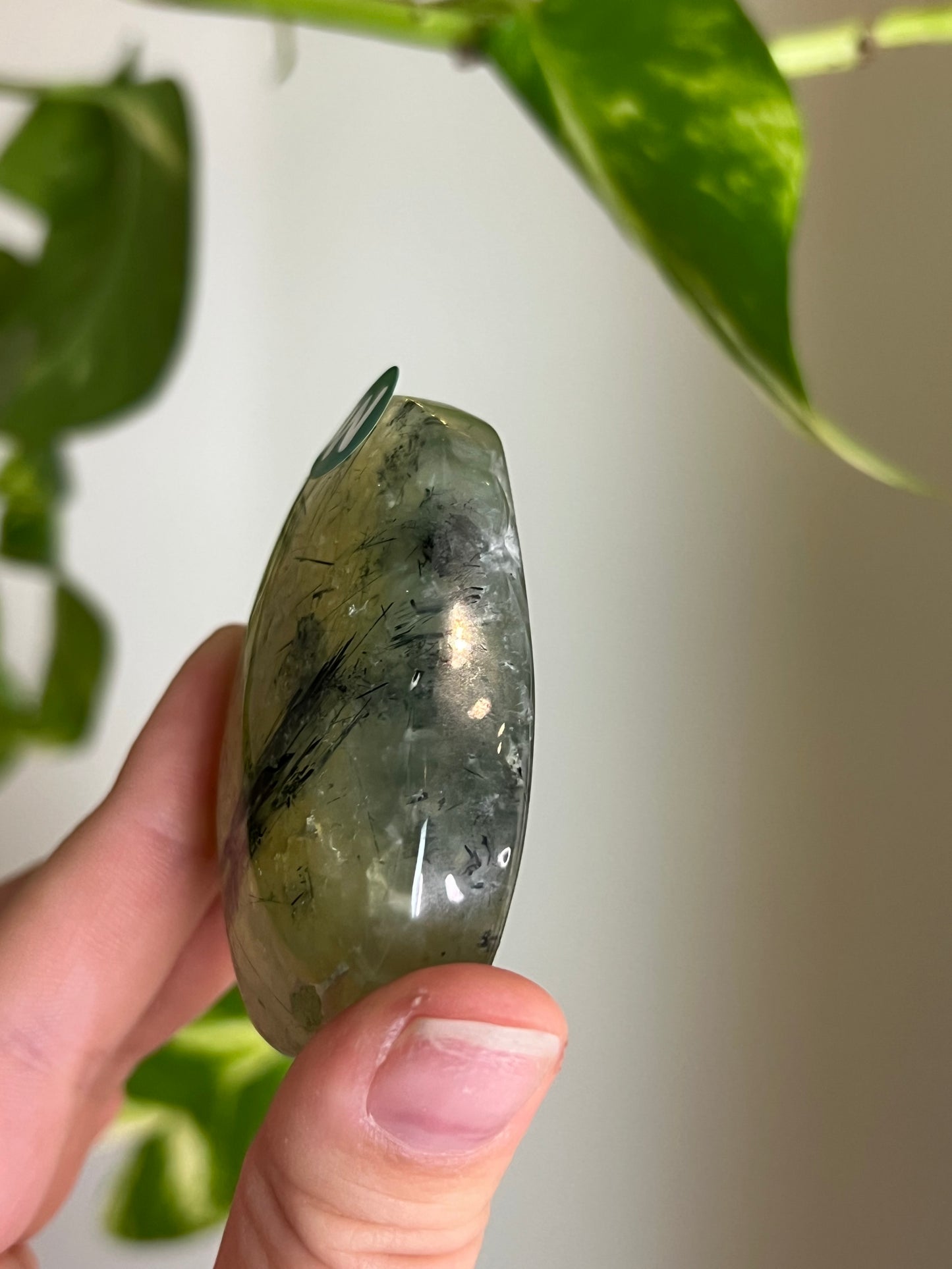 Prehnite with Epidote Palm Stone - W