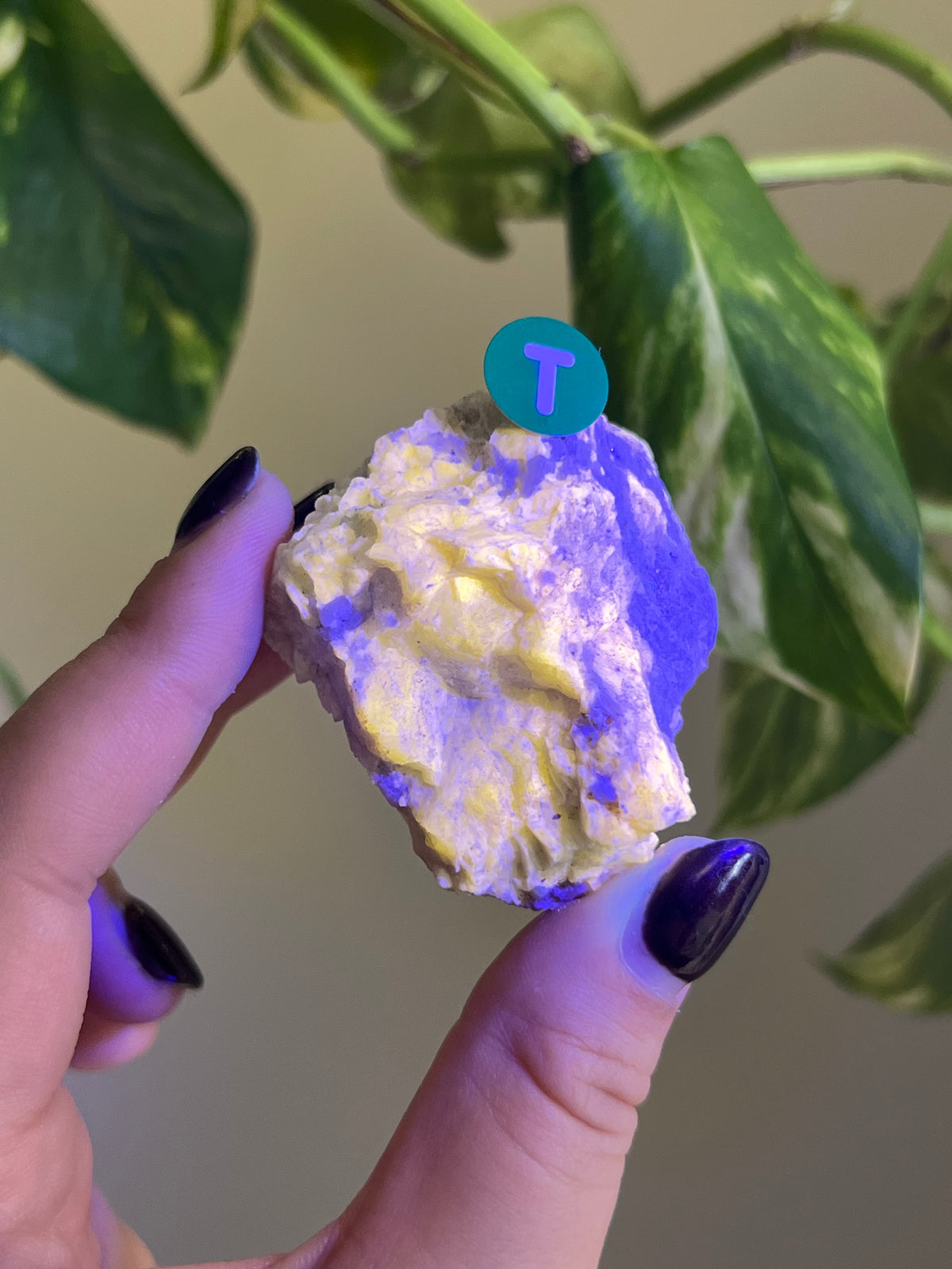 UV Reactive Meionite Scapolite Specimen - T