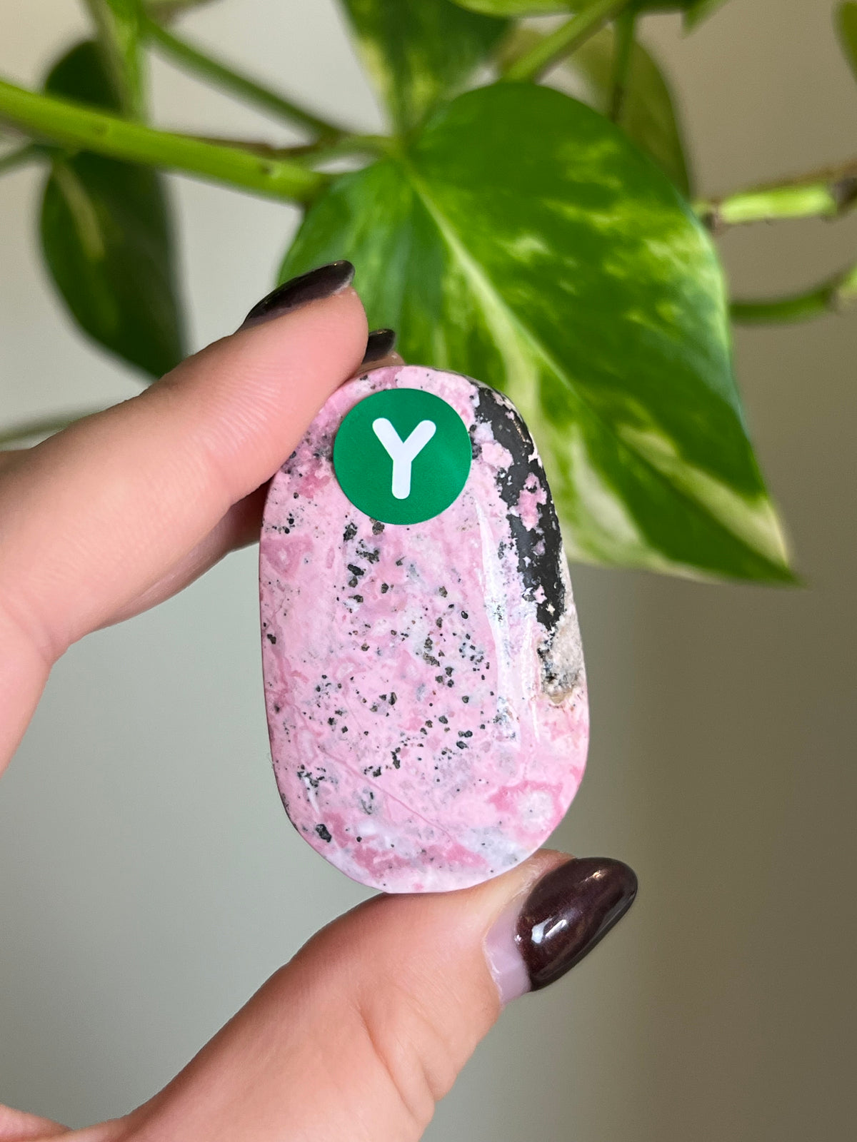 Bubblegum Peruvian Rhodonite Palm Stone - Y