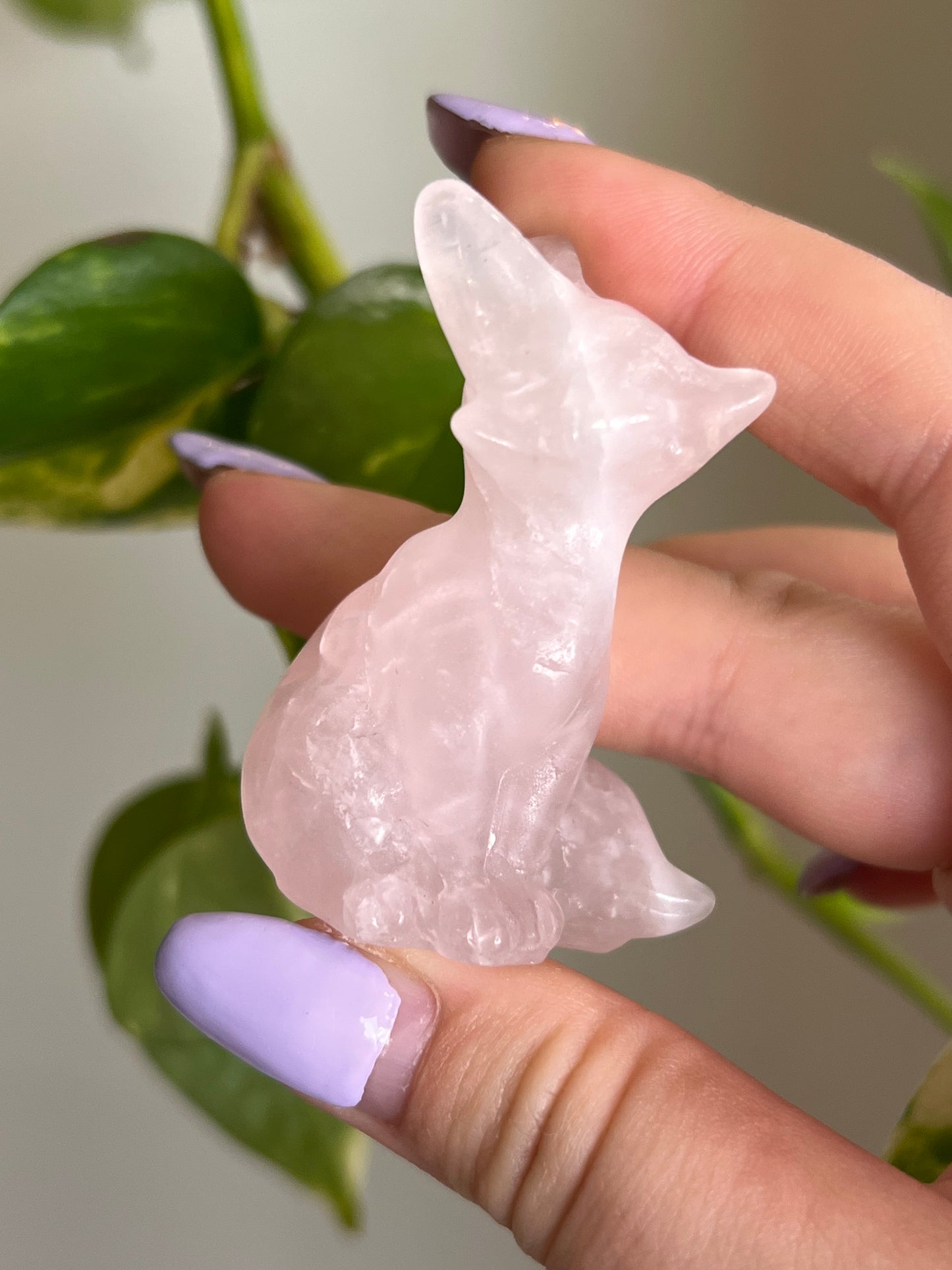 Rose Quartz Fox
