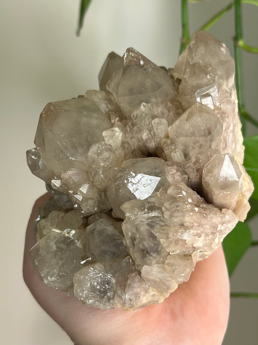 Phantom Smoky Candle Quartz - Large