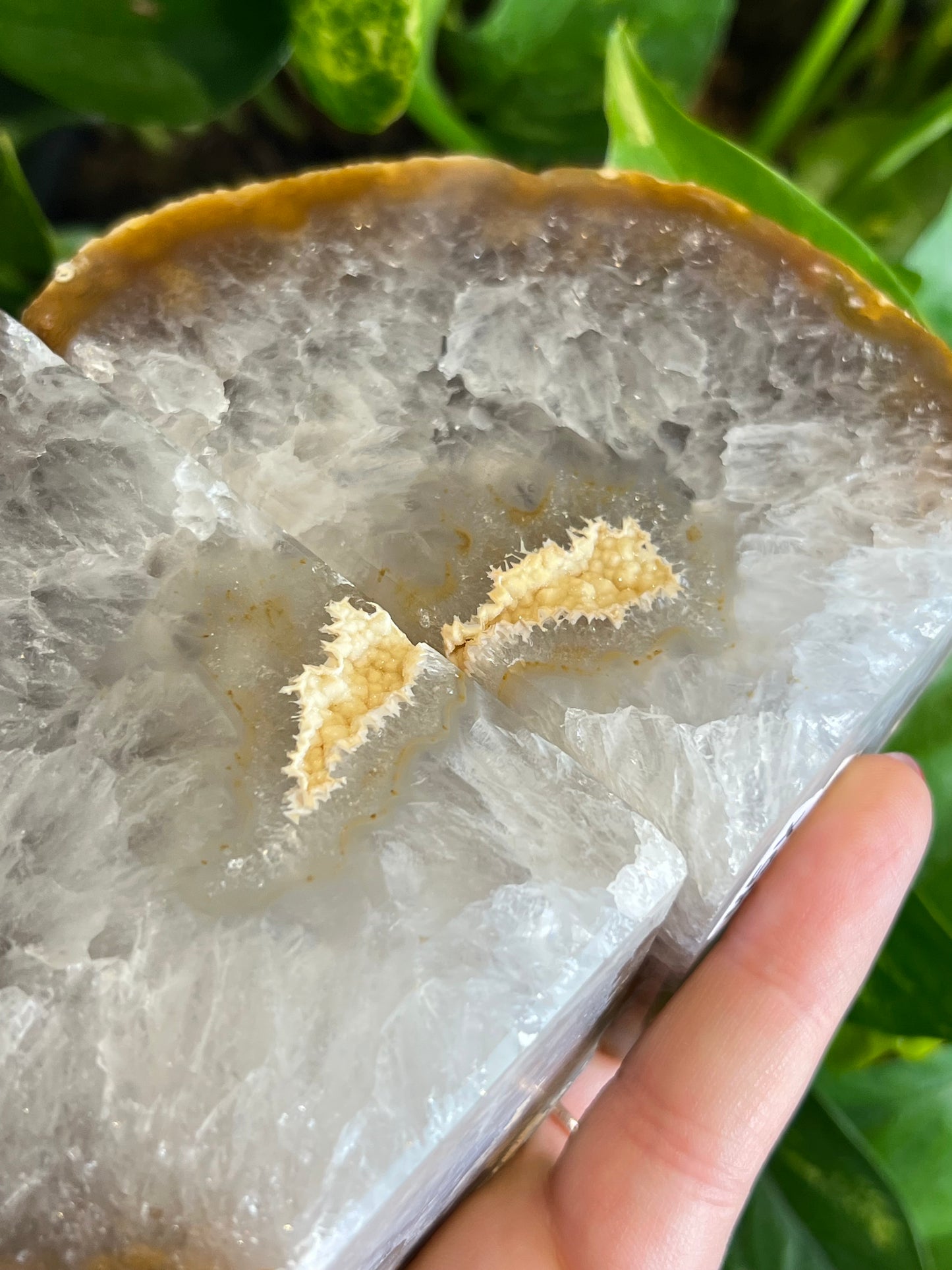 Agate Druzy Bookends - X