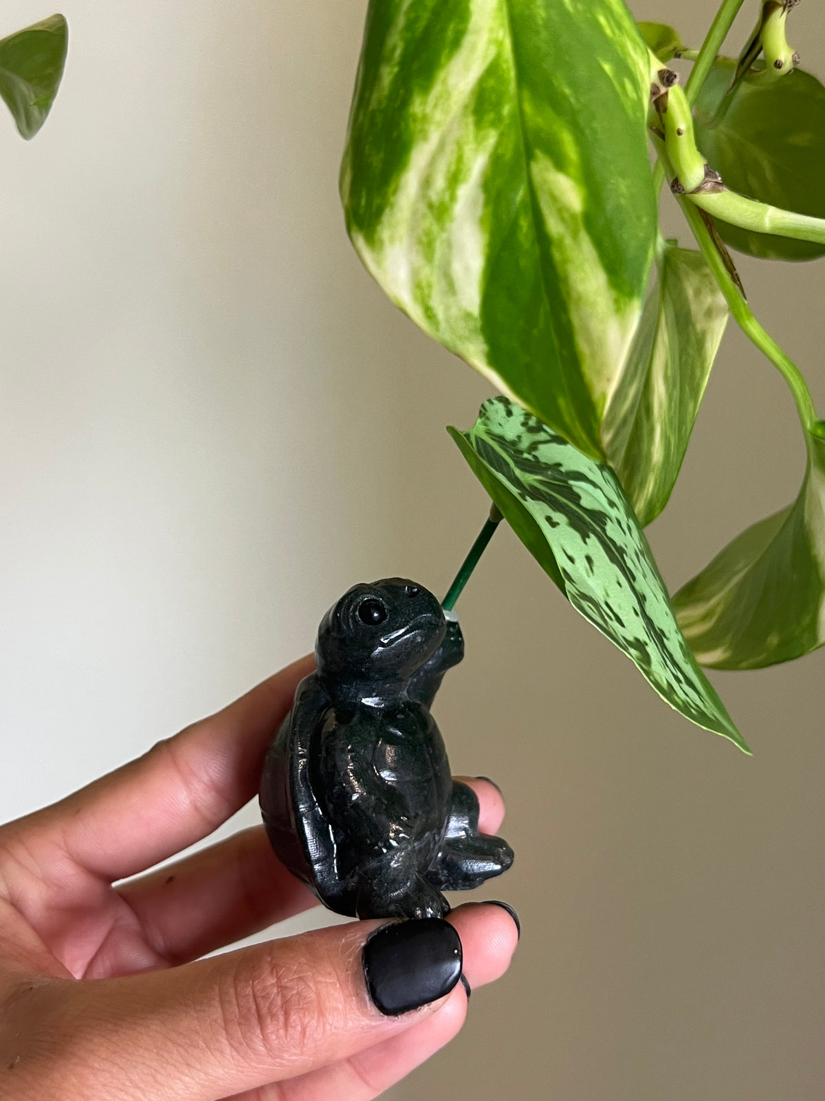 Jade Turtle with Leaf Umbrella
