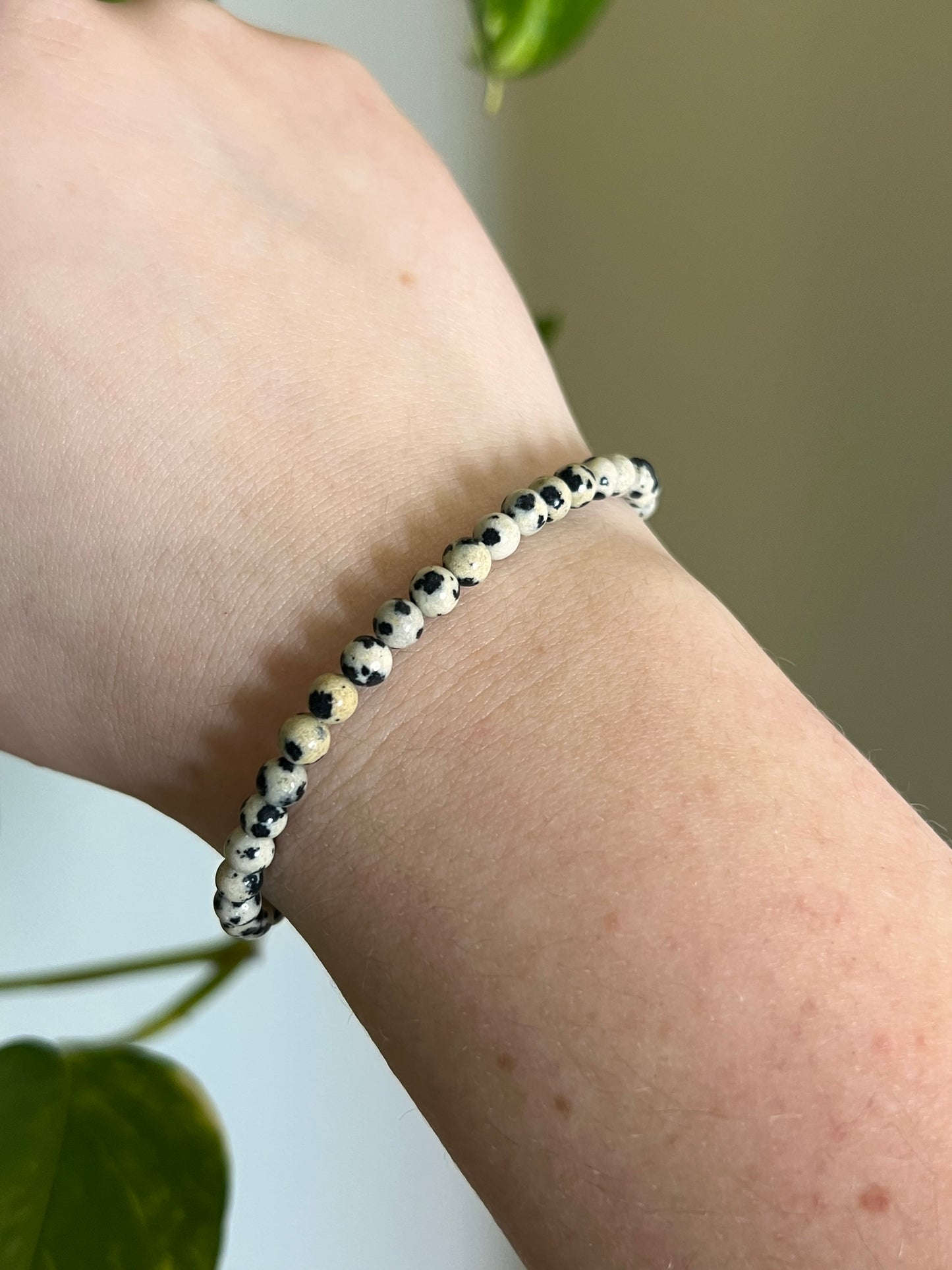 4mm Dalmatian Jasper Bracelet