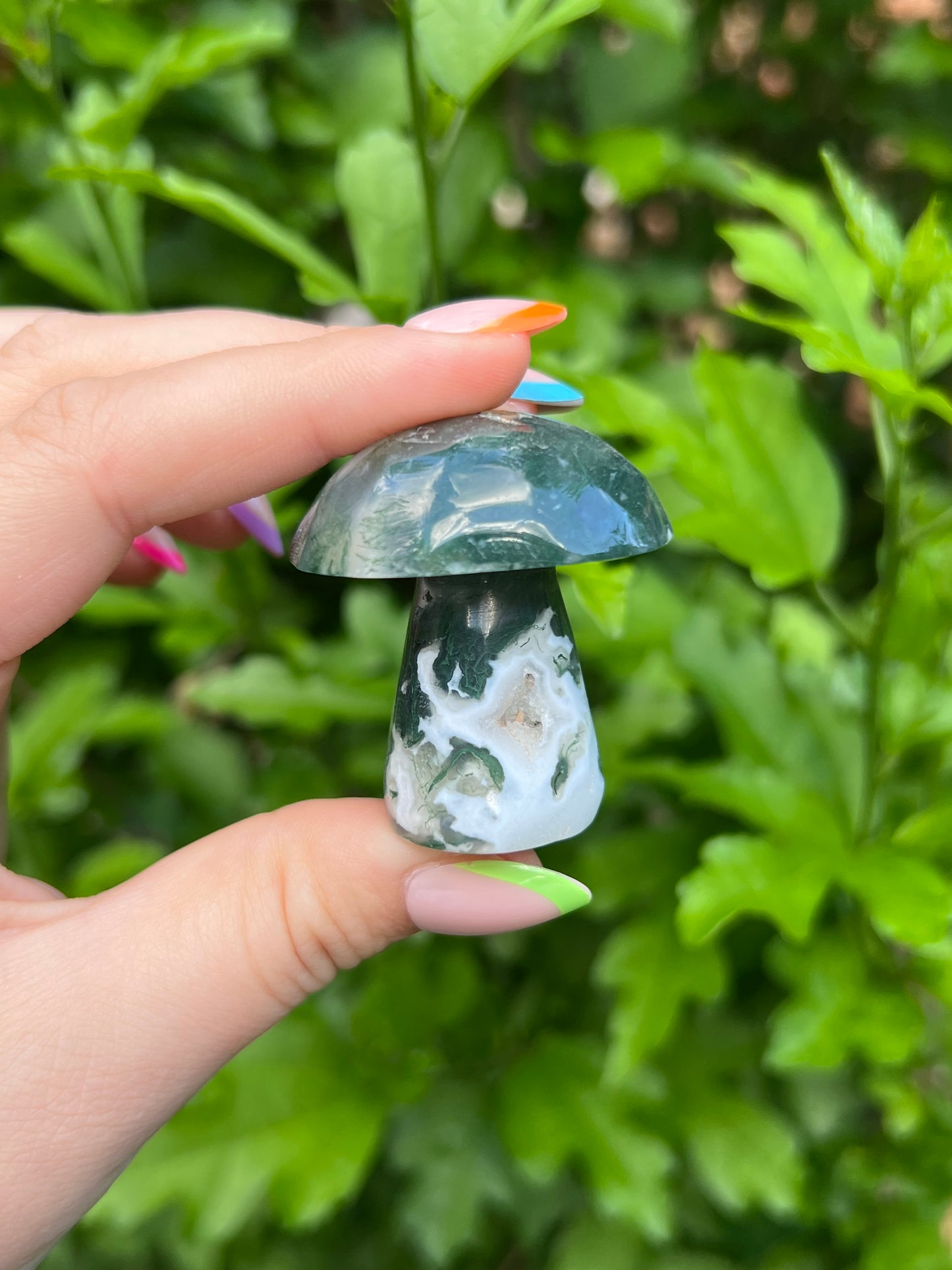 Druzy Moss Agate Mushroom