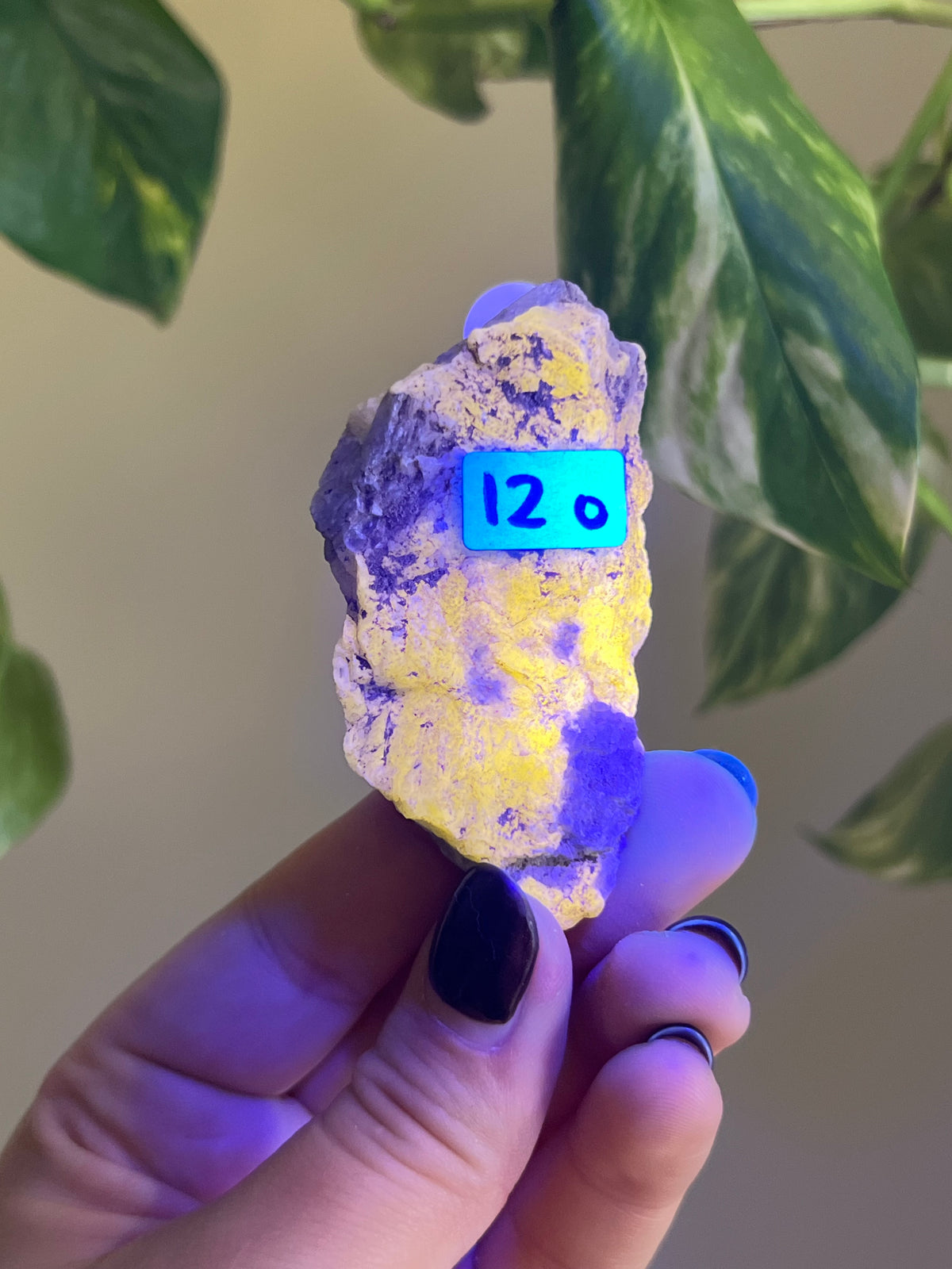 UV Reactive Meionite Scapolite Specimen - O
